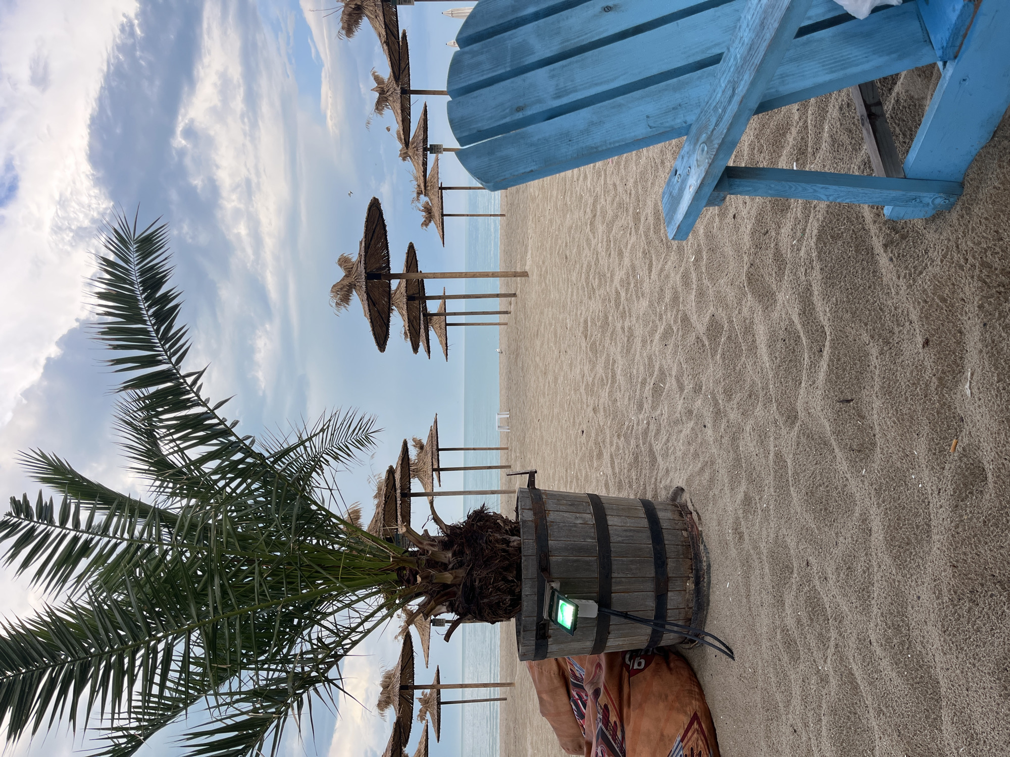 The image depicts a beach scene in Varna, Bulgaria, likely taken near or within the city limits given the style and amenities. The dominant feature is a potted palm tree in the foreground, its base obscured by a brown patterned cloth or cushion. The palm is planted in a wooden barrel-like pot, with a green electronic device attached to the side.
Behind the palm, the beach stretches out toward the sea. There are rows of thatched beach umbrellas placed equidistant from one another along the shoreline. A light-blue wooden chair is positioned on the sand. The sky is partly cloudy. The sand appears light in color.