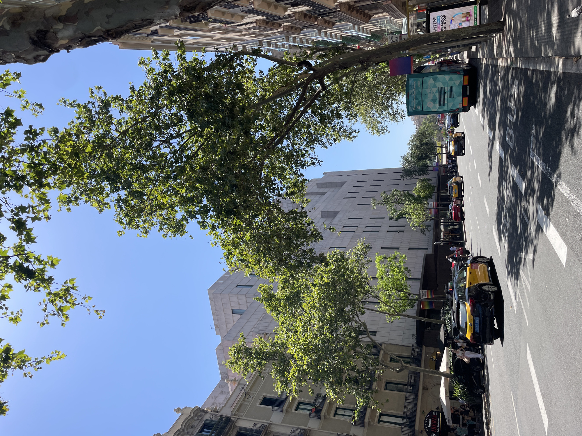 The image depicts a street scene in Barcelona, Spain, on a sunny day. A broad, multi-lane road runs through the center of the frame, with vehicles traveling in both directions. A prominent yellow and black taxi is in the foreground, moving away from the camera. To its right, a large, teal-colored bus, labeled "Barcelona Bus Turistic," is parked at a bus stop. Pedestrians are visible on the sidewalk to the left, some seated at outdoor cafe tables under umbrellas, and others walking.
The street is lined with buildings of varying architectural styles. On the left, a building with ornate balconies and arched windows stands next to a modern, white stone structure. On the right, a building with numerous balconies and brown-toned facades is visible. Lush green trees with broad leaves are abundant, casting dappled shadows across the road and sidewalk, suggesting a warm climate. The sky is clear blue. The overall atmosphere is that of a bustling urban environment on a pleasant day.