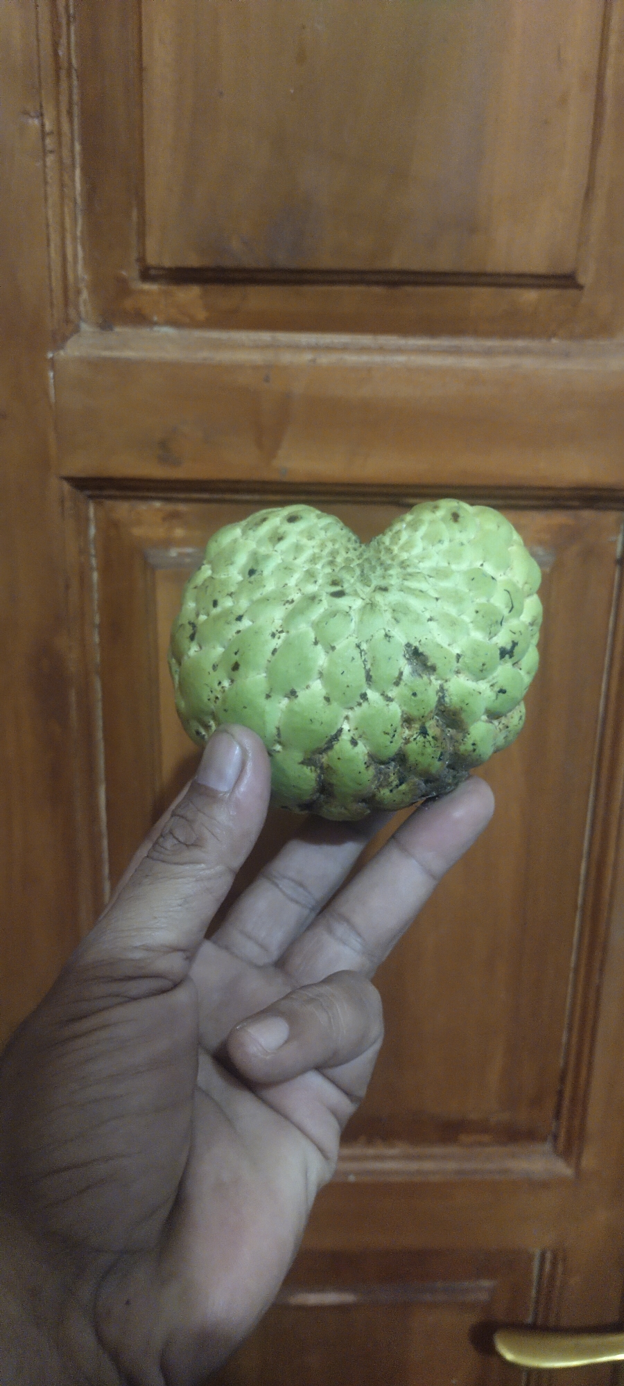 A close-up, eye-level shot shows a person's hand holding a custard apple in front of a wooden door. The custard apple is green and bumpy, with some dark spots. The person's hand is dark-skinned and is positioned so that two fingers are extended towards the camera. The wooden door is light brown with visible grain and paneling. The lighting suggests an indoor environment, possibly a home. The location is identified as Pasirhuni, Indonesia.