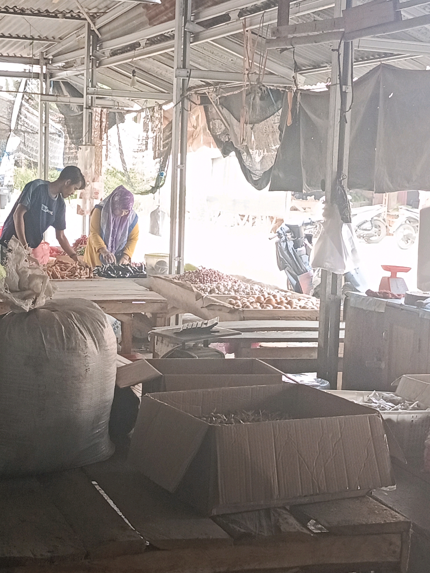The image depicts an outdoor market scene, possibly in Megang Sakti I, Indonesia, characterized by a corrugated metal roof supported by metal beams. Two individuals are visible behind a wooden stall. A young person, wearing a dark t-shirt with faint white lettering, is standing and looking down at a table. Beside them, an older individual, wearing a yellow top and a purple headscarf, is also looking down at the table, appearing to sort or arrange items.
On the table in front of them are piles of small, brown, root-like vegetables, and a collection of darker, elongated items, possibly dried goods or spices. To the left of the stall, a large, woven sack filled with material is prominent. In the background, glimpses of parked motorcycles suggest the presence of transportation within or near the market. Further back, more stalls and structures are visible, along with some hanging fabrics or tarpaulins, creating a sense of a busy, open-air marketplace. Cardboard boxes are also present in the foreground and midground, some open and containing what appear to be dried goods or produce. A red weighing scale is visible on a counter to the right. The overall lighting suggests it is daytime, with sunlight filtering through the open structure, creating a bright and somewhat hazy atmosphere.