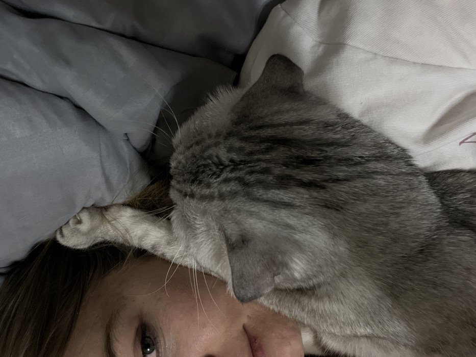 The scene, located in Zvezda, Russia, depicts a close-up of an individual and a cat in an indoor setting, likely a bedroom. The left side of a human face, featuring an open eye, cheek, and a portion of the mouth, is visible on the left of the frame. Light brown hair is partially visible behind the cat's paw. The individual wears a white garment. A silver tabby cat occupies the central and right portions of the image, positioned with its back and right side towards the viewer. Its head rests against the person's shoulder or neck area. The cat exhibits distinct dark grey stripes over lighter grey fur. One of the cat's front paws is raised, extended towards the person's head or a grey pillow visible in the upper right background. The immediate environment includes grey and white bedding materials.