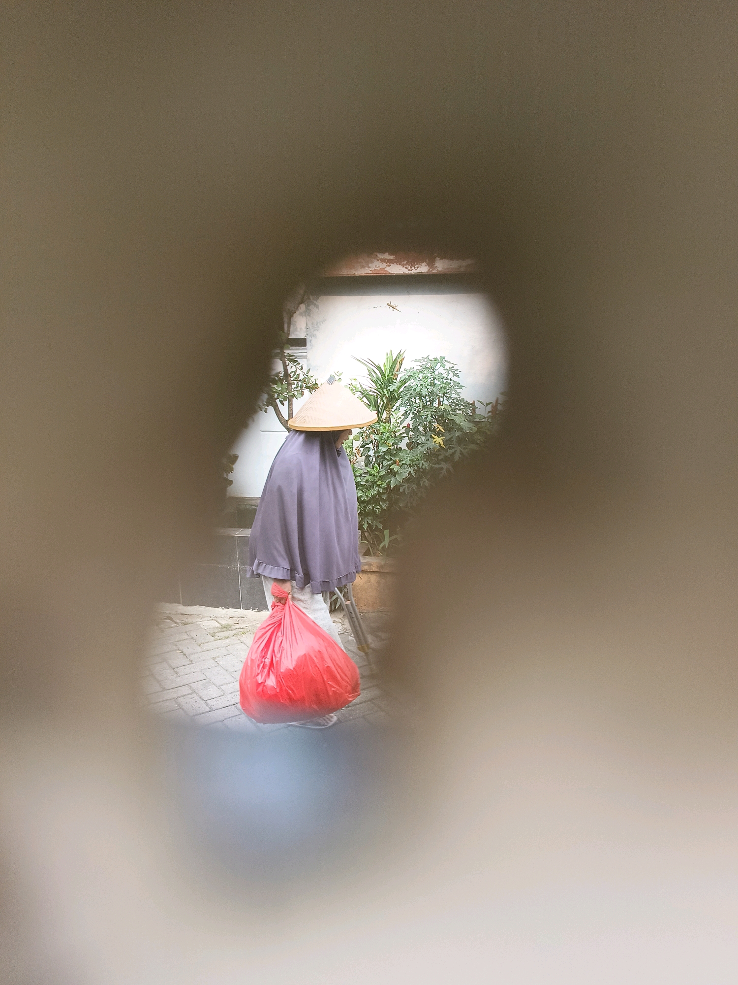 An individual wearing a conical hat and a purple shroud carries a large, bright red plastic bag. The scene appears to be an outdoor residential area in Tangerang, Indonesia. The person is walking on a paved walkway made of interlocking bricks. Lush green plants are visible in the background, suggesting a garden or courtyard setting. The image is framed by a blurred, light brown border, as if viewed through a narrow opening or lens. A small lizard is perched on a wall in the upper right portion of the frame.