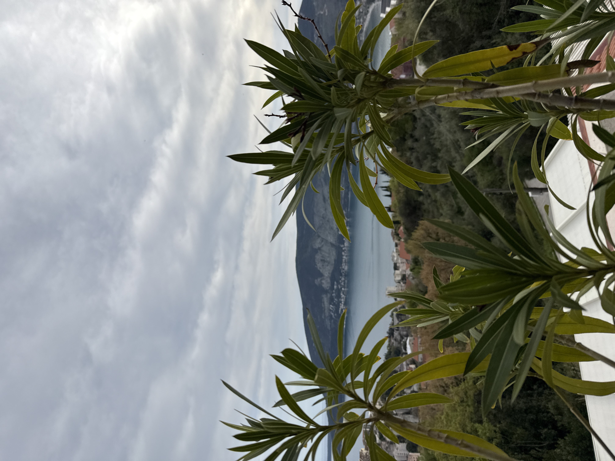 The image shows a view overlooking a body of water, possibly a bay or lake, with a mountain range in the background. A coastal town with buildings and trees is visible along the shoreline. Green plants with long leaves frame the scene in the foreground. The sky is overcast with a variety of clouds. This scene is located in Trebesin, Montenegro.
