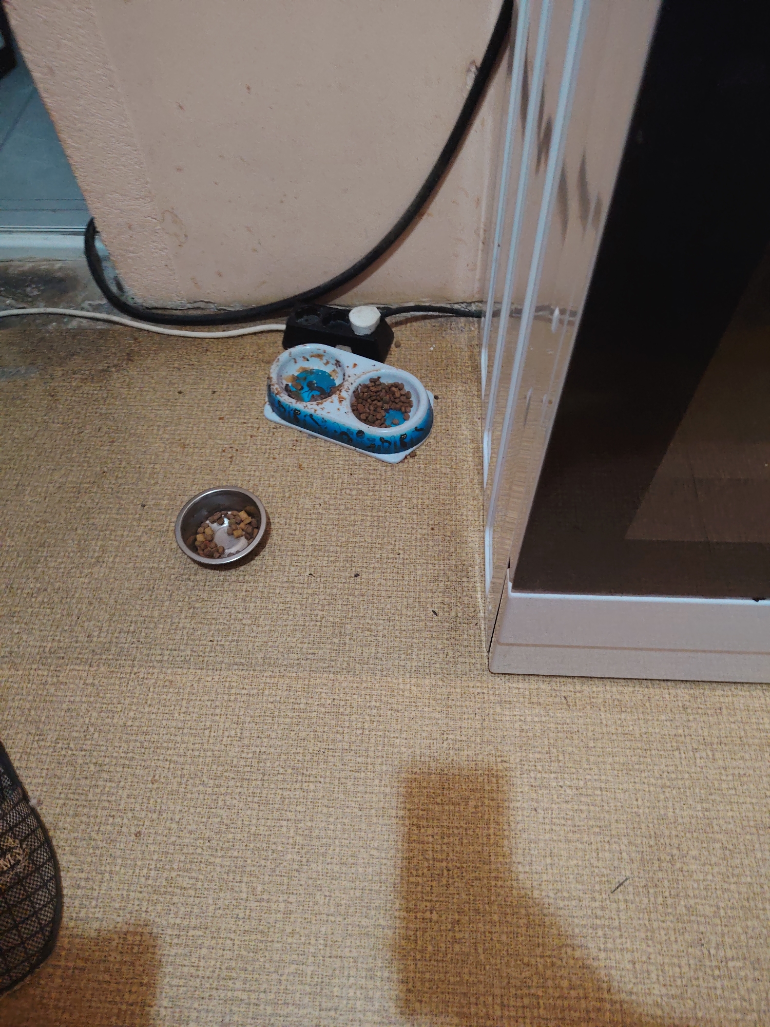 The image shows a domestic scene, likely indoors, with two pet food bowls on a textured, beige carpet. One bowl is a small, silver metal dish containing kibble. To its right is a larger, blue and white plastic double-bowl feeder, also filled with kibble. The bowls are situated near a wall with a textured, light-colored surface. A black electrical cord runs along the base of the wall, connected to a small black object with a white top. To the right of the food bowls, a portion of a white appliance with vertical silver accents is visible, its surface reflecting light. The lighting suggests an indoor environment, possibly with ambient light from a window or overhead fixture, casting a shadow on the carpet from the appliance on the right. The overall scene appears to be a corner of a room where pets are fed, with no people or animals visible. The focus is on the pet feeding area.