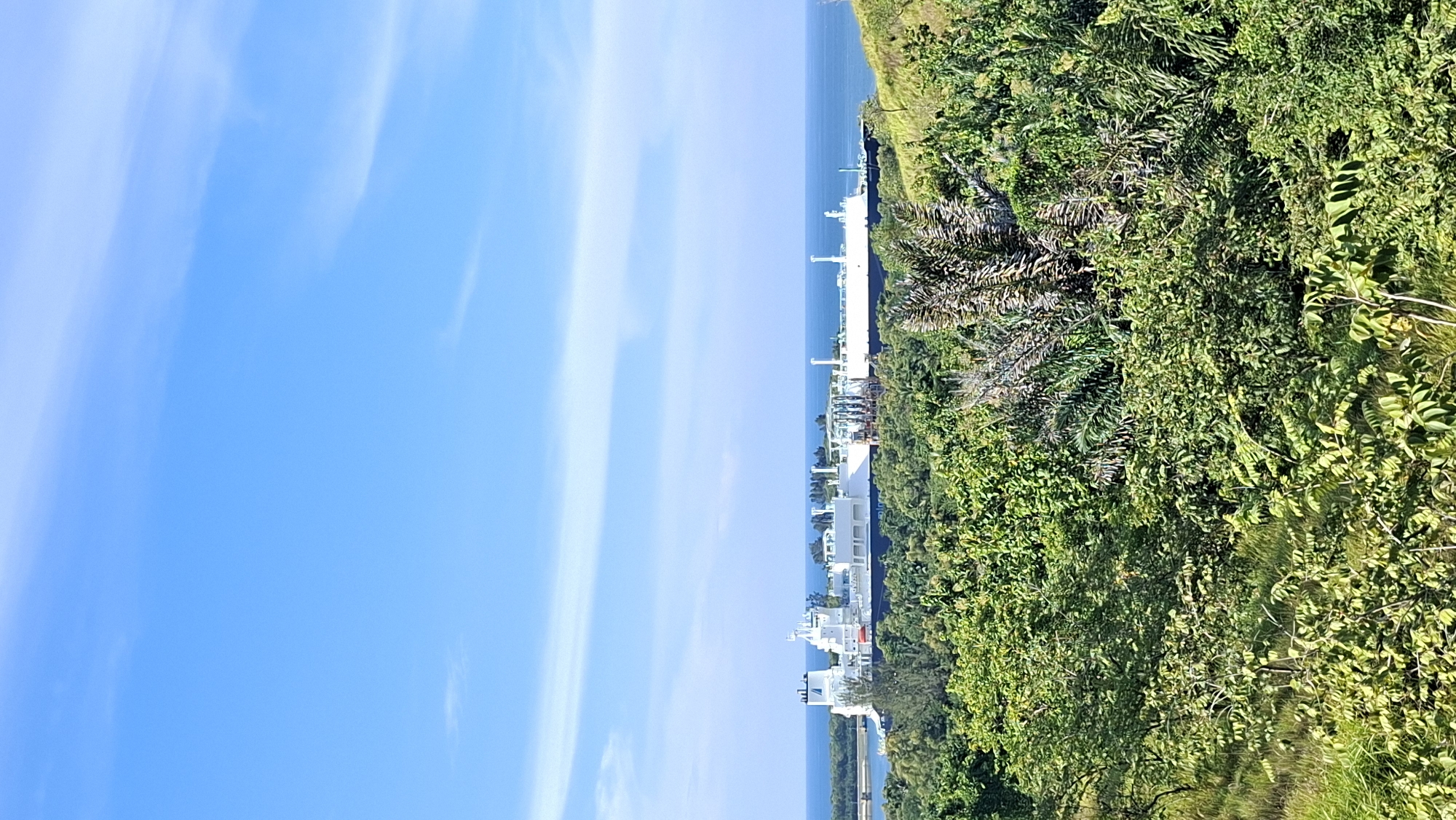 The image shows a large white ship docked in a body of water, with lush green vegetation in the foreground. The sky is clear blue with a few wispy clouds. The ship appears to be an LNG (Liquefied Natural Gas) carrier, recognizable by its long, cylindrical tanks. The vessel is moored at a port, likely an industrial facility, given the presence of infrastructure such as cranes and pipelines visible on the ship and surrounding dock area. The dense foliage suggests a tropical or subtropical climate. This scene is consistent with the industrial port facilities found in Lhokseumawe, Indonesia, a city known for its oil and gas industry, including LNG processing plants and associated shipping terminals.