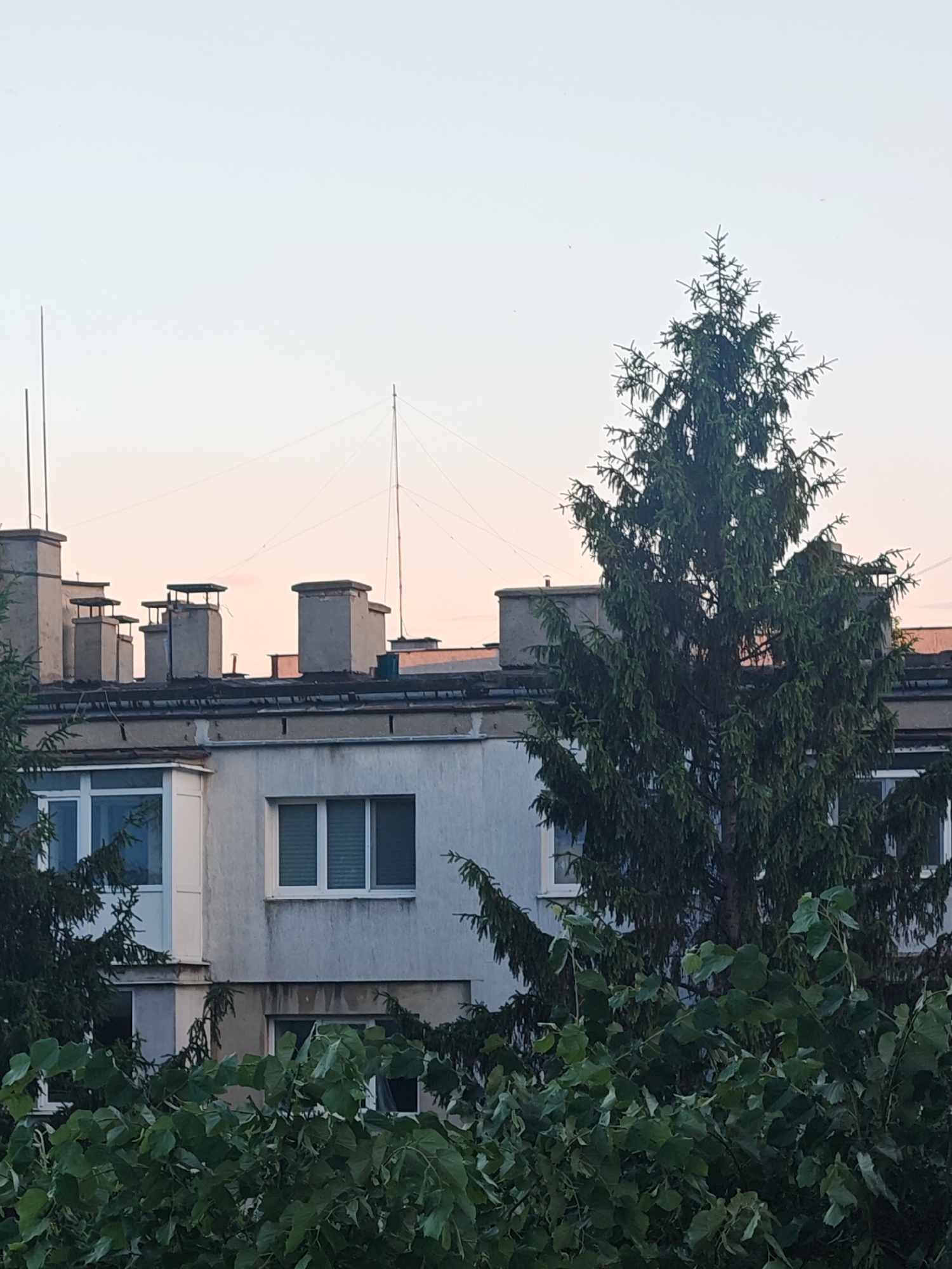 The scene depicts an urban landscape in Shumen, Bulgaria, featuring a multi-story concrete building viewed through dense foreground vegetation. The building has a light grey, weathered facade with visible staining and white-framed windows, one containing horizontal blinds. Its flat, dark roof is populated by several concrete chimneys, some capped with metal. Two slender, dark poles extend vertically from the left side of the roof. On the right side, a significantly taller, thin mast or antenna is secured by multiple guy wires spanning across the sky. A large, dark green coniferous tree dominates the right side of the frame, partially obscuring the building. Additional dark green foliage is present on the far left. The immediate foreground is filled with broad-leafed green vegetation, obstructing the lower sections of the building and the base of the coniferous tree. The sky above transitions from a pale blue at the top to a subtle pinkish-orange near the horizon, characteristic of twilight. Multiple tiny dark specks, likely birds or insects, are visible against the sky. No human subjects or discernible actions are present.