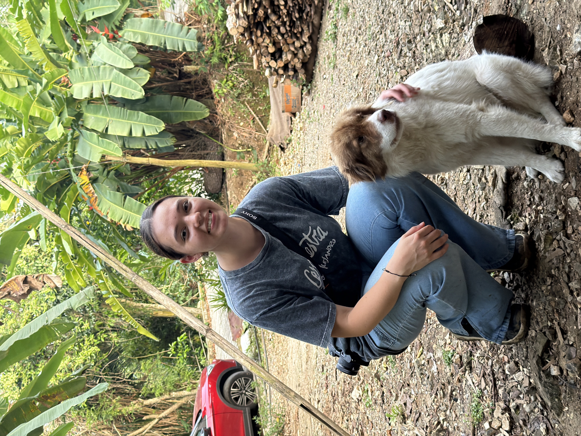A woman is crouched on the ground, petting a dog. She is wearing a gray t-shirt, blue jeans, and dark-colored shoes. The dog is large with white and brown fur. The ground is covered in dirt and small rocks. In the background is a pile of firewood, banana trees and a red car. The location is likely Tecoltepec, Mexico.