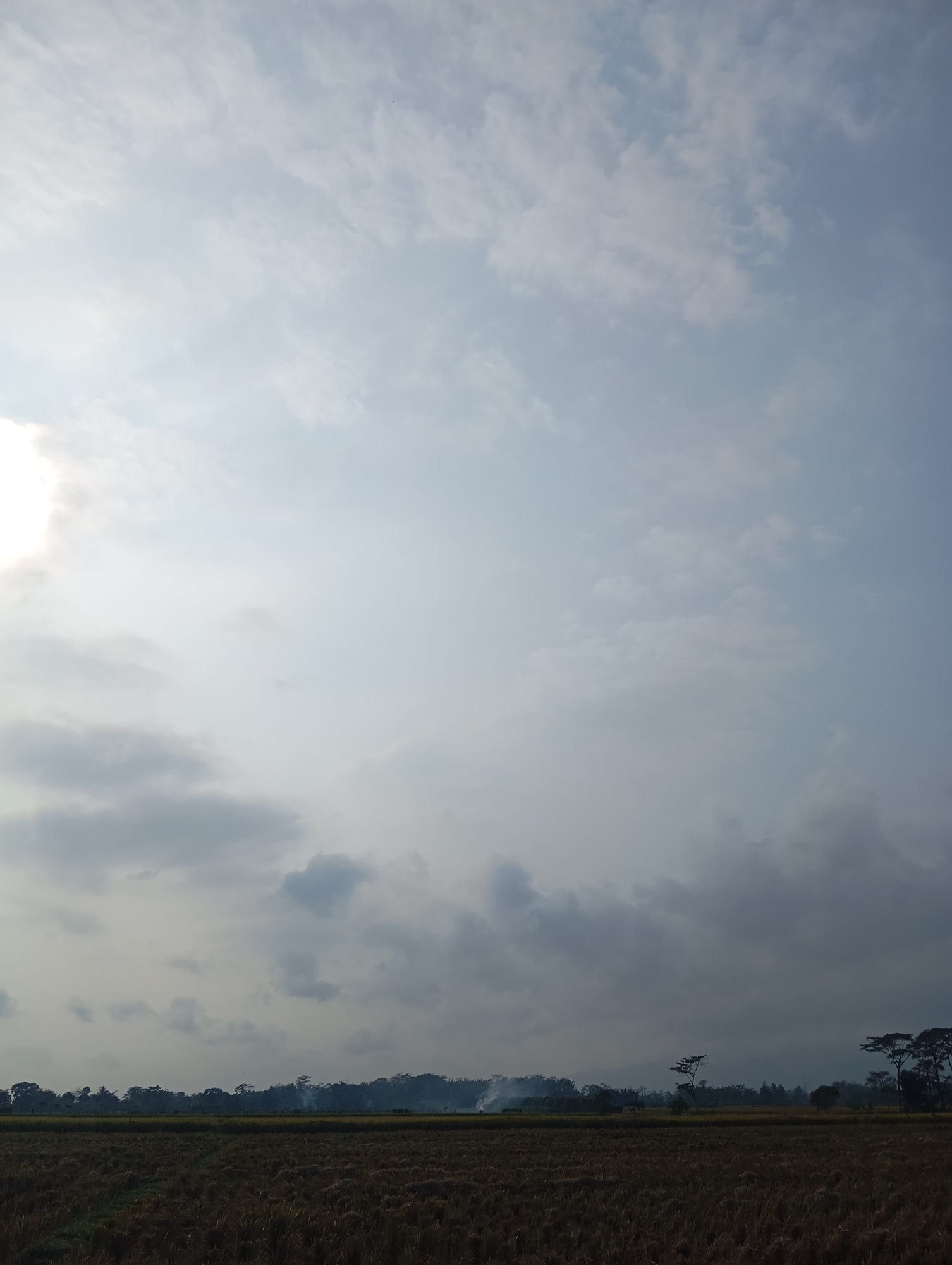 A wide shot captures a rural landscape in Sokaraja, Indonesia, under a cloudy sky. In the foreground, a harvested rice field stretches across the lower third of the frame, its dry stalks creating a textured, brown expanse. Beyond the field, a dense line of trees forms a dark, irregular silhouette against the lighter sky. Scattered among the trees are thin plumes of white smoke, suggesting controlled burning or cooking fires. The sky itself is a mix of pale blue and diffused white clouds, with the sun appearing as a bright, hazy glow on the left side. The overall impression is one of a calm, overcast day in the Indonesian countryside.