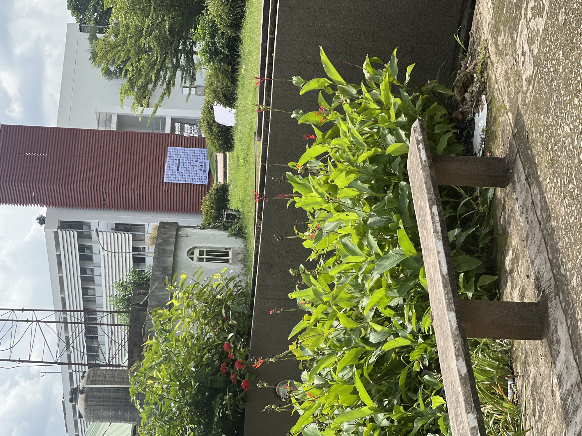 The image depicts an outdoor scene at Obafemi Awolowo University, Ile-Ife, Nigeria. In the foreground, a weathered concrete bench with two rectangular supports sits on a paved area. Behind the bench, a lush bed of vibrant green plants with tall stalks and red-tipped flowers grows against a dark gray concrete wall. To the left, partially obscured by greenery, is a small, light-colored building with a arched window. In the background, a large, multi-story white building with horizontal louvers on its windows is visible. To the left of this building, a tall, lattice-like metal tower stands near a large, dark water tank. Adjacent to the main white building is a tall, narrow, reddish-brown structure with horizontal ribbed detailing. A large poster, seemingly containing many small portraits, is affixed to the lower portion of this reddish-brown structure. Green grass and trees are present throughout the background, and the sky is partly cloudy.
