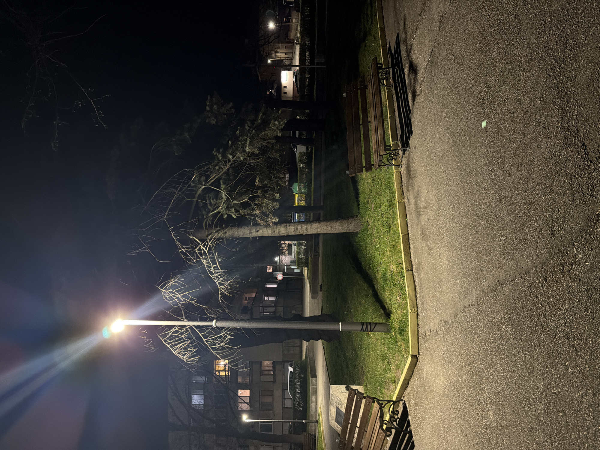 The image depicts a night scene in Panagyurishte, Bulgaria. A paved pathway runs along the right edge of the image, adjacent to a narrow strip of grass. Two wooden benches with ornate metal supports are positioned along this grassy area. A leafless tree stands in the center of the scene. A street lamp, illuminating the area with a bright glow, is located near the lower left corner. In the background, several multi-story buildings are visible, some with lit windows. A signpost can be seen near the tree. The overall environment appears to be a park or public space at night. A green surgical mask lies on the pavement.