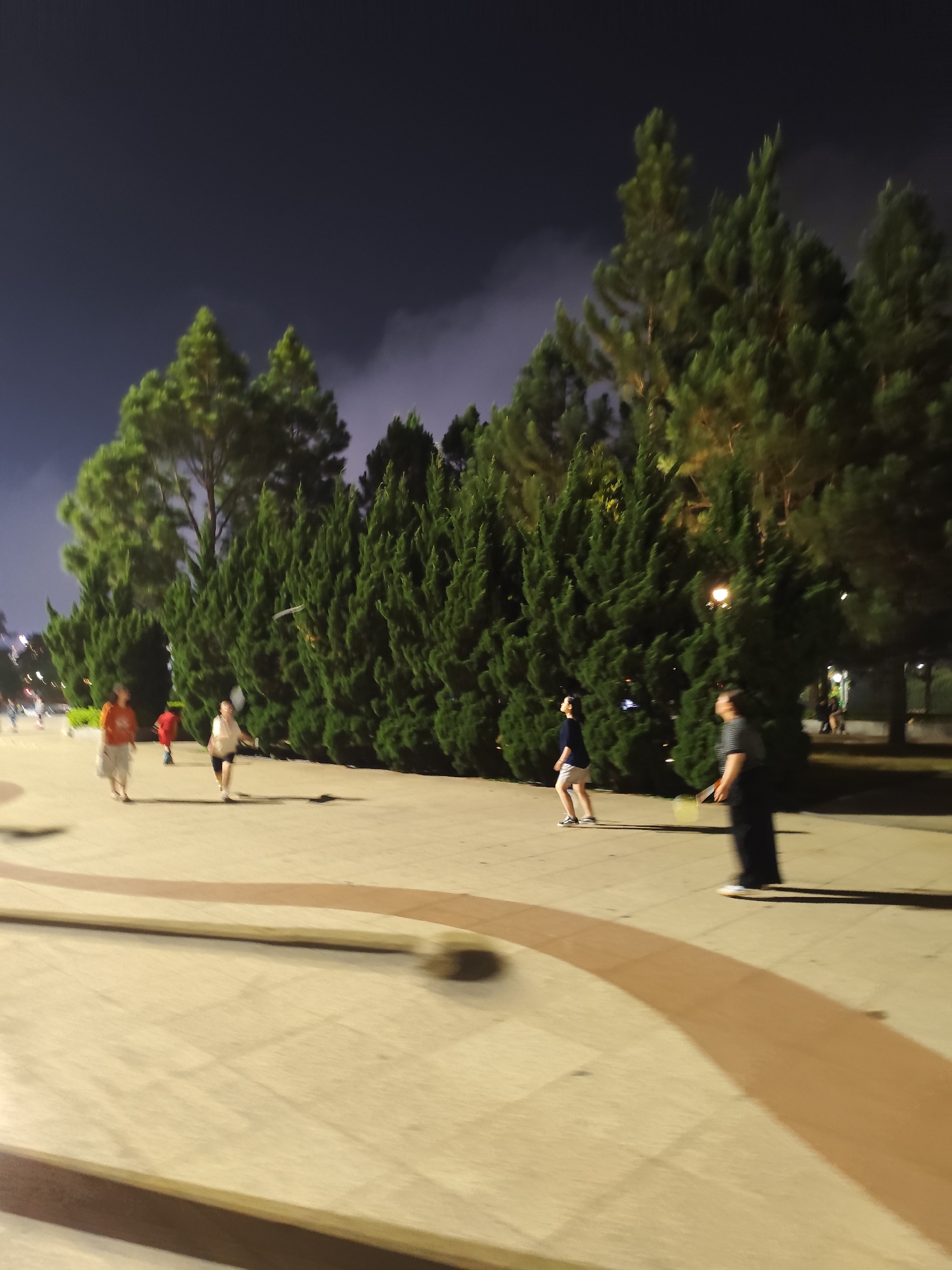 The media file presents a nighttime scene in what appears to be a public park or recreational area in Da Lat, Vietnam. The dark sky shows some cloud cover, and artificial lighting illuminates the scene, casting soft glows and shadows.
The dominant features are numerous tall, slender evergreen trees, likely pines or cypresses, forming a dense green wall that spans across the midground and background. Faint glimmers of streetlights are visible among these trees.
The foreground is a paved area with distinct, decorative wavy brown stripes embedded into the lighter-colored ground. Several people are present, engaging in leisure activities. Two individuals in the midground are actively playing badminton, each holding a racket. One, dressed in a light top and dark shorts, is in motion with their racket raised, looking upwards, while another in a striped shirt and dark pants also holds a racket. Further to the left, two blurry figures are walking away, one wearing an orange top and a light skirt, and the other in a red top. Another person in a dark top and light shorts stands near the tree line, looking up.
The overall impression is one of relaxed evening recreation and social gathering. The blurriness of the moving subjects and parts of the foreground suggests a dynamic moment captured in low-light conditions. There is no visible text in the image.