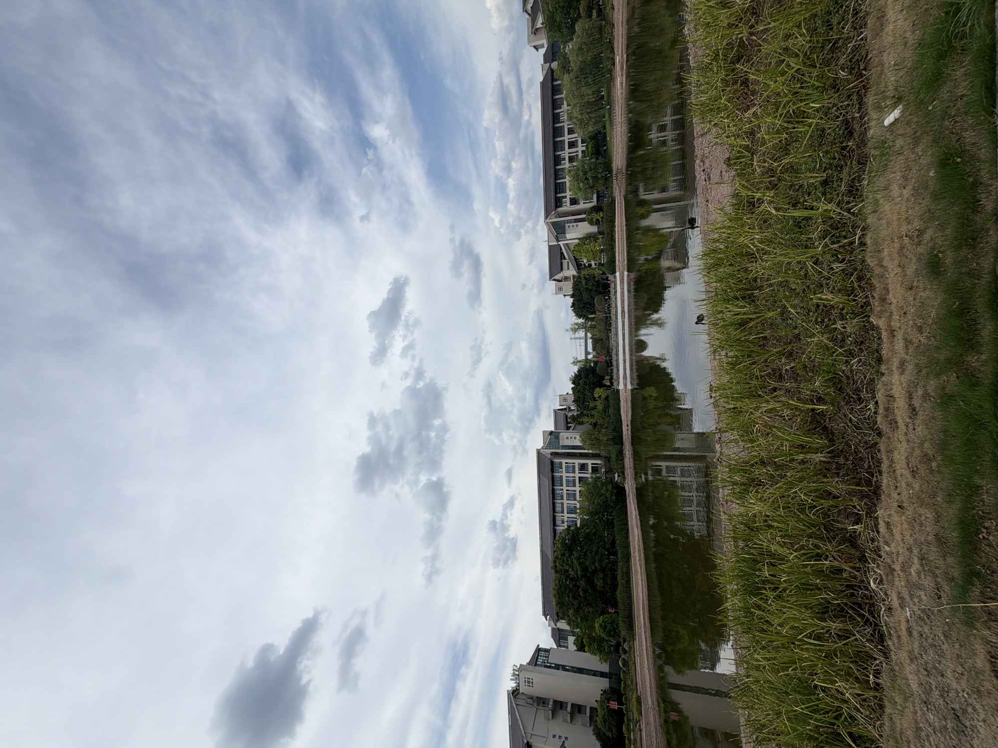 This is a vertical, eye-level, medium shot of a tranquil scene in the city of Jiangjin, China, likely within a park or university campus. The foreground is dominated by a patch of dry, yellowish-brown grass that transitions to a denser, vibrant green grass with tall reeds. A body of still water, reflecting the cloudy sky and the buildings, occupies the middle ground. The water is greenish and appears somewhat murky. On the sandy bank of the water, two black ducks are visible.
The background features several modern buildings with dark, tiled roofs and light-colored facades, interspersed with lush green trees. The architecture suggests an institutional or residential complex. The sky above is a dynamic expanse of gray and white clouds, with patches of lighter blue peeking through, indicating an overcast or partly cloudy day. The overall atmosphere is peaceful and natural, with a clear juxtaposition between the built environment and the natural elements of water and vegetation.