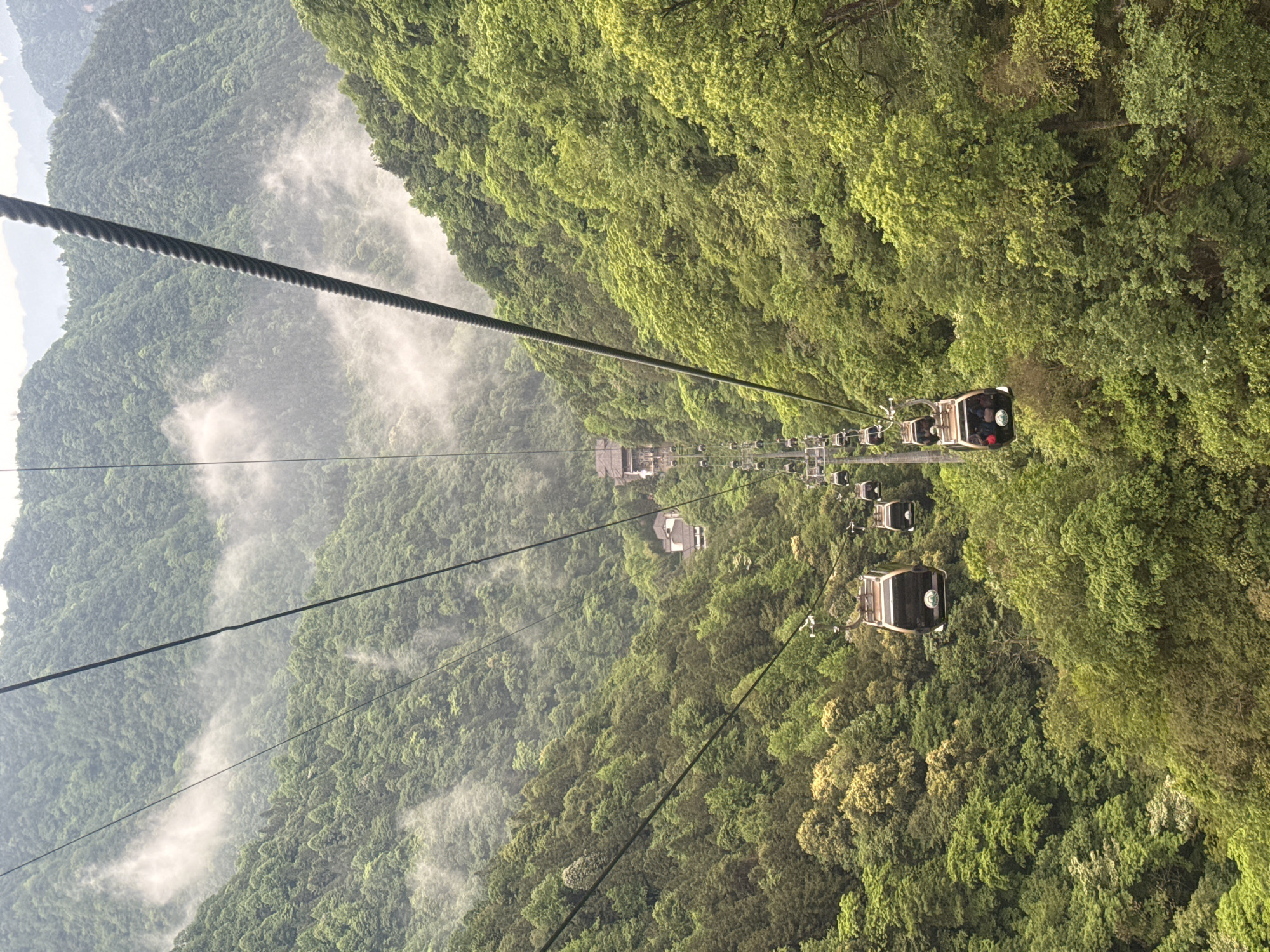 The image depicts a series of cable cars suspended on cables, traversing a mountainous landscape covered in dense green forest. The location is Wulingyuan, China. Some mist or fog partially obscures the view of the mountains. The cable cars are evenly spaced, with several visible in varying distances from the viewer. The cables are taut and run diagonally across the frame. Some buildings are visible amid the trees.