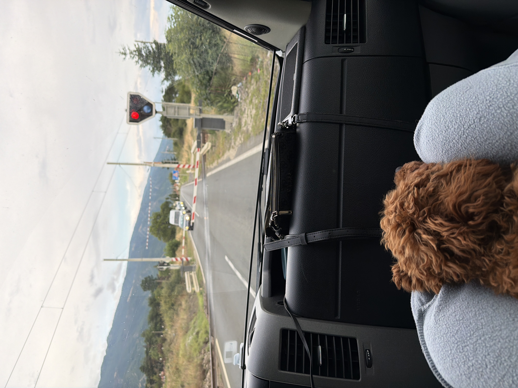 The image is taken from inside a vehicle, looking out at a railway crossing. A small, reddish-brown dog with curly fur is visible in the foreground, resting on a light blue blanket. The dashboard of the vehicle is dark and textured. A black zippered pouch with a strap is placed on the dashboard.
Outside the vehicle, the road ahead is wet, suggesting recent rain or a damp environment. There are cars stopped at the railway crossing, indicating a train is expected or passing. A railway signal with a red light illuminated is visible, along with barriers across the road. The background features a gently sloping mountain range covered in greenery under a cloudy sky. The overall scene suggests a brief stop or wait at a rural railway crossing in Karnare, Bulgaria, with a canine passenger.
