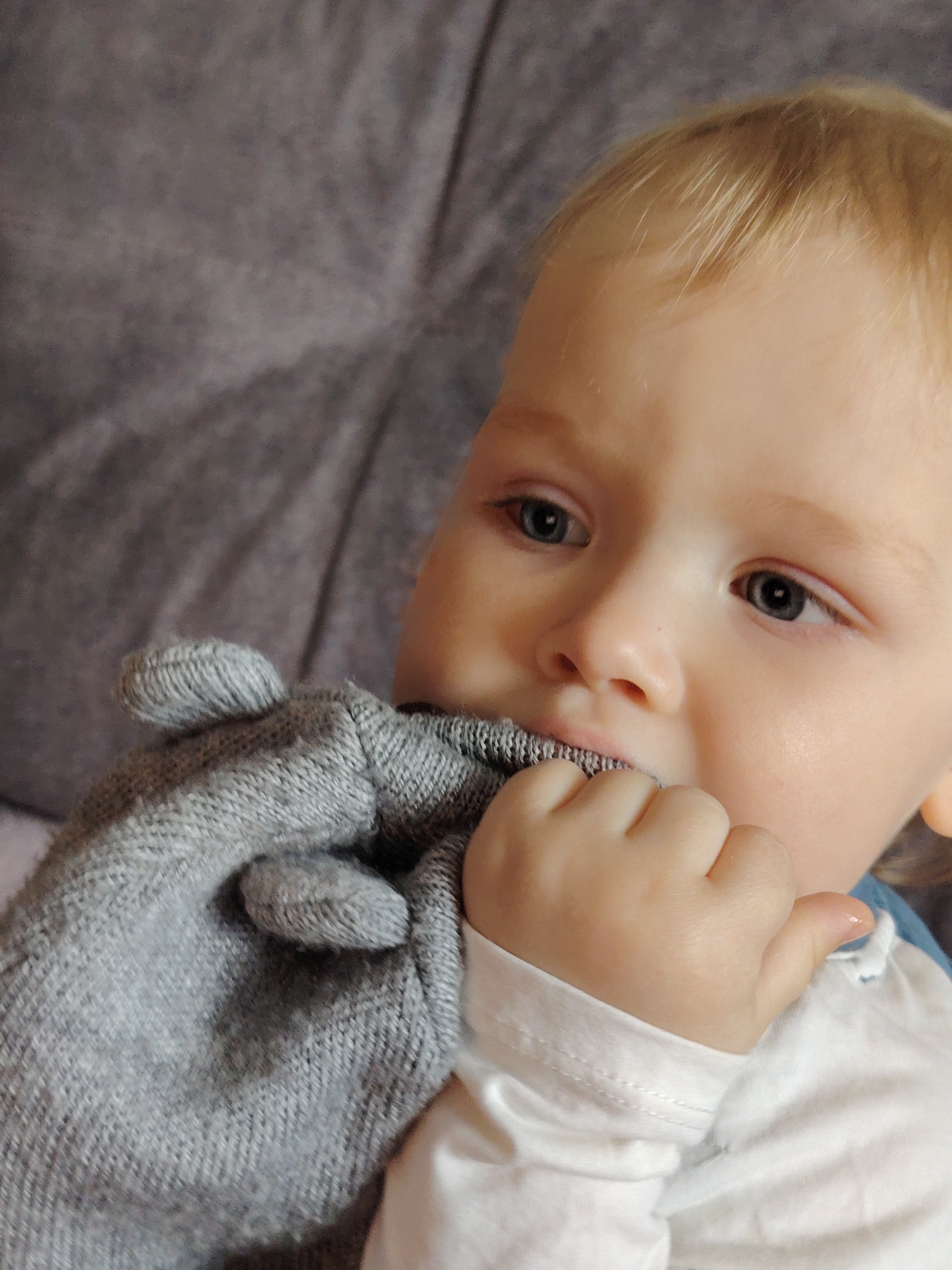 A young child with blonde hair is shown in a close-up shot. The child is holding a grey knitted object, possibly a toy or blanket, and has a portion of it in their mouth. The child's hand is also close to their face. The child is wearing a white long-sleeved shirt. The background is a grey, textured surface, possibly a sofa or chair. The location, Chaikovsky, Russia, is not visually discernible from the image.