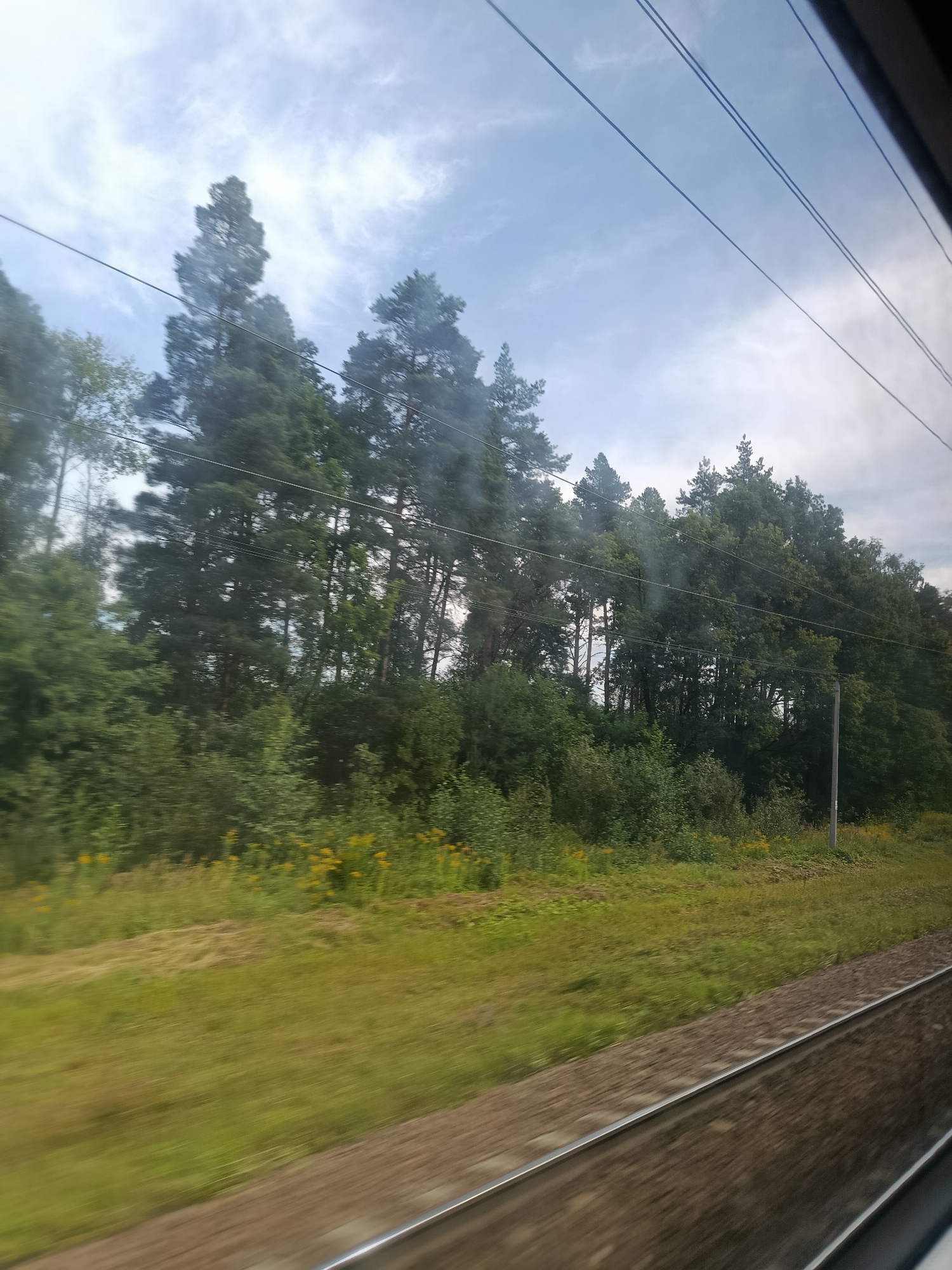 The image depicts a view from a moving vehicle, likely a train, looking out at a landscape with trees and a cloudy sky. In the foreground, a section of railway tracks is visible, blurred by motion. Beyond the tracks, a grassy field stretches out, dotted with small yellow flowers. Further in the background, a dense line of trees, primarily evergreens, forms a dark green barrier against the sky. Several overhead wires are also visible, stretching across the frame. The sky is overcast with wispy clouds, suggesting a temperate climate. There are no people or specific landmarks to identify the precise location within Gridino, Russia, but the presence of railway tracks and extensive forest is consistent with rural or semi-rural areas.