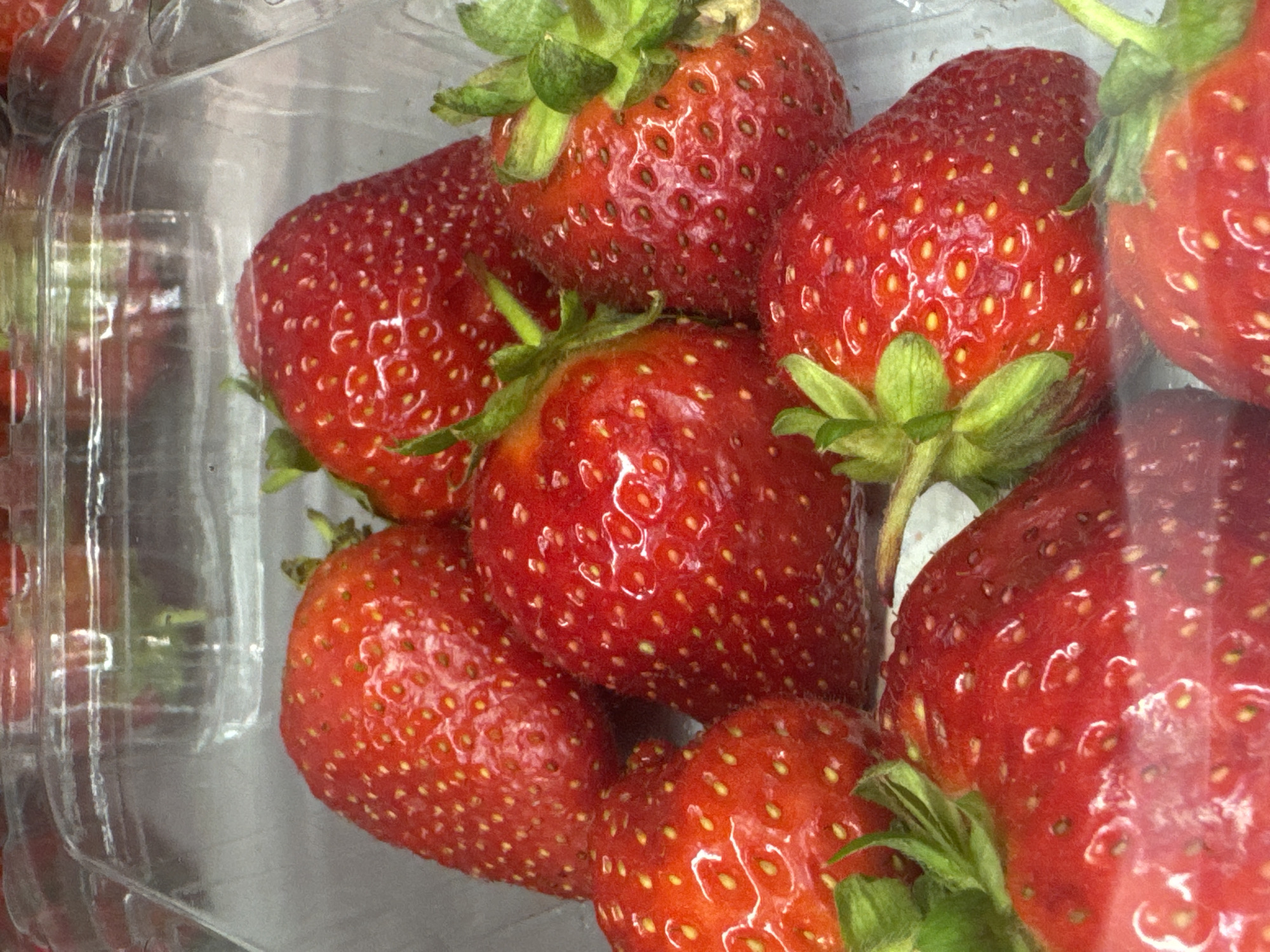 A clear plastic container of fresh strawberries is presented in a close-up, eye-level shot. The strawberries are a vibrant red, with visible seeds and green stems. The container appears to be on a shelf or in a display, as indicated by the blurred background which suggests other similar containers or packaging. The overall lighting is bright, highlighting the fresh appearance of the fruit. The image is likely taken in a retail setting, such as a grocery store or market. The location in the city of Khimki, Russia is an assumed context and not visually verifiable from the image itself.