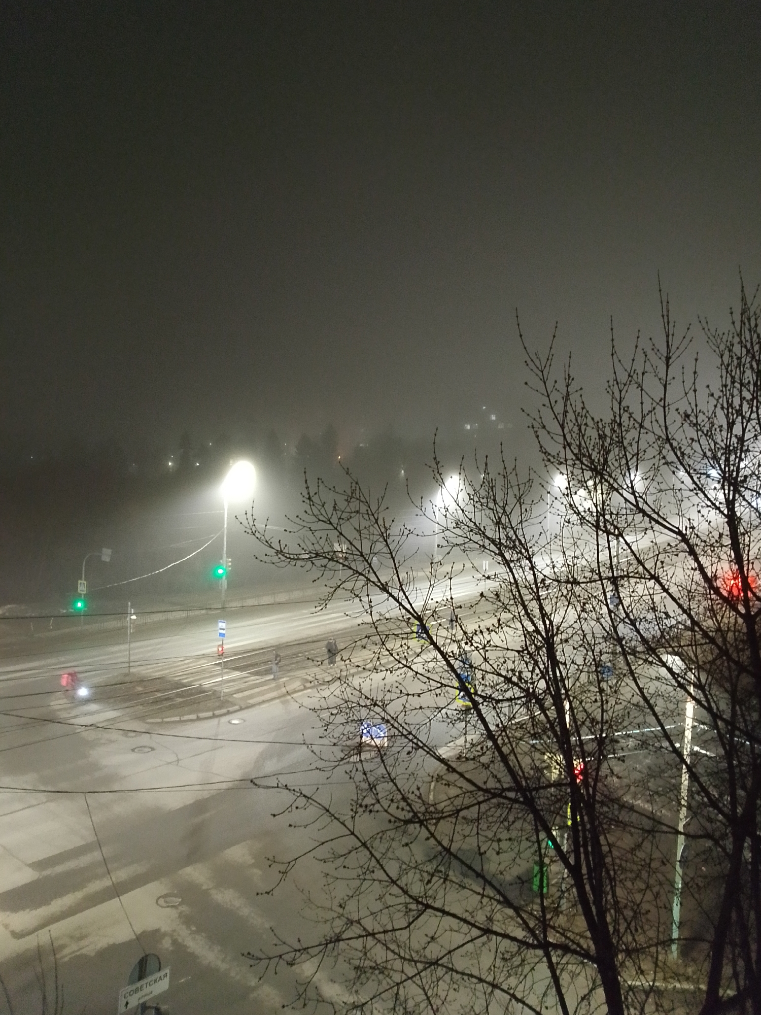 The image depicts a night scene in Izhevsk, Russia, captured from an elevated perspective. The foreground is dominated by the bare branches of trees, typical of winter. Beyond the trees, a major intersection is visible, illuminated by streetlights. The road surface appears wet, possibly due to snowmelt or rain. Traffic signals are present, with at least one showing a green light. Pedestrian crossings are marked on the road. In the distance, the city fades into a hazy or foggy atmosphere, with the outlines of buildings and trees barely discernible. A sign reading "COBETCKAЯ" (Soviet Street) is partially visible at the bottom left. There are a few indistinct figures of pedestrians crossing the road. A blurred red taillight suggests a vehicle in motion. The overall impression is one of a quiet, foggy night in an urban environment.
