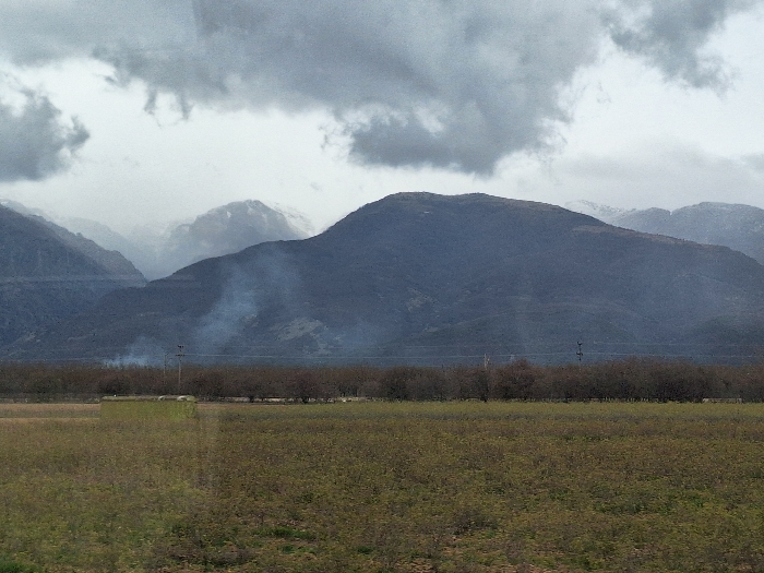 The image depicts an expansive rural landscape in Gabarevo, Bulgaria, under a heavily overcast sky. Dark grey clouds dominate the upper portion of the frame, with lighter grey areas visible between them.
In the foreground, a large field extends across the lower half of the image, covered with low-lying vegetation showing shades of green and brown. A light-colored, rectangular structure, possibly a small building or container, is partially visible within this field, positioned slightly to the left of the central axis, behind a slight rise in the terrain.
The midground features a dense, horizontal line of bare deciduous trees, likely an orchard, stretching across the scene. These trees exhibit visible branches without foliage. Above this tree line, a dark utility pole with visible crossbars and power lines stands slightly left of center. Two distinct plumes of light grey smoke or mist are observed rising from the base of the nearest mountain range, behind the tree line, with the plume on the left being more substantial.
The background consists of multiple layers of mountains. The closest range is dark and appears densely vegetated. Further in the distance, successive mountain ranges are progressively lighter in hue due to atmospheric perspective, with several distant peaks displaying distinct patches of white, indicating snow cover. No individuals or animals are present in the scene.