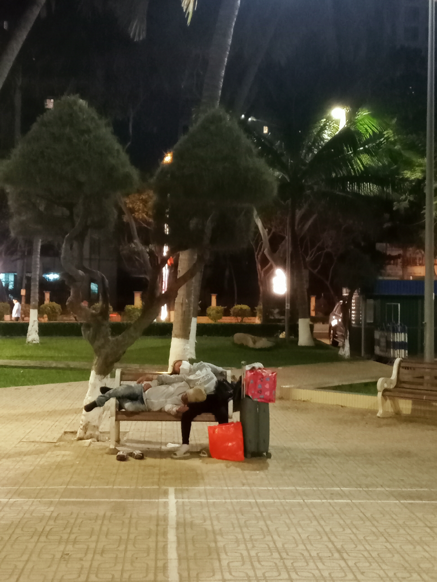 The image depicts a nighttime scene in a park or garden area, consistent with a setting in Nha Trang, Vietnam. In the foreground, two individuals are sleeping or resting on a wooden park bench. One person wears a light-colored hoodie with "adidas" visible on the chest and blue jeans, while the other is partially obscured but also appears to be wearing casual attire. A grey rolling suitcase and a bright red bag are positioned at the end of the bench, suggesting the individuals may be travelers or experiencing homelessness. A pair of sandals or slippers rests on the patterned tiled ground in front of the bench.
The scene is illuminated by artificial streetlights, casting a warm glow on the paved ground and parts of the surrounding foliage. The park features several trees, including two distinctively trimmed, pyramid-shaped bushes in the mid-ground, and tall palm trees extending into the dark night sky. Some tree trunks are painted white at their bases. In the background, other park benches, grassy areas, and distant building lights are visible, along with what appears to be a small structure or kiosk and possibly a vehicle. The overall atmosphere is quiet and serene, indicative of a public space late at night.