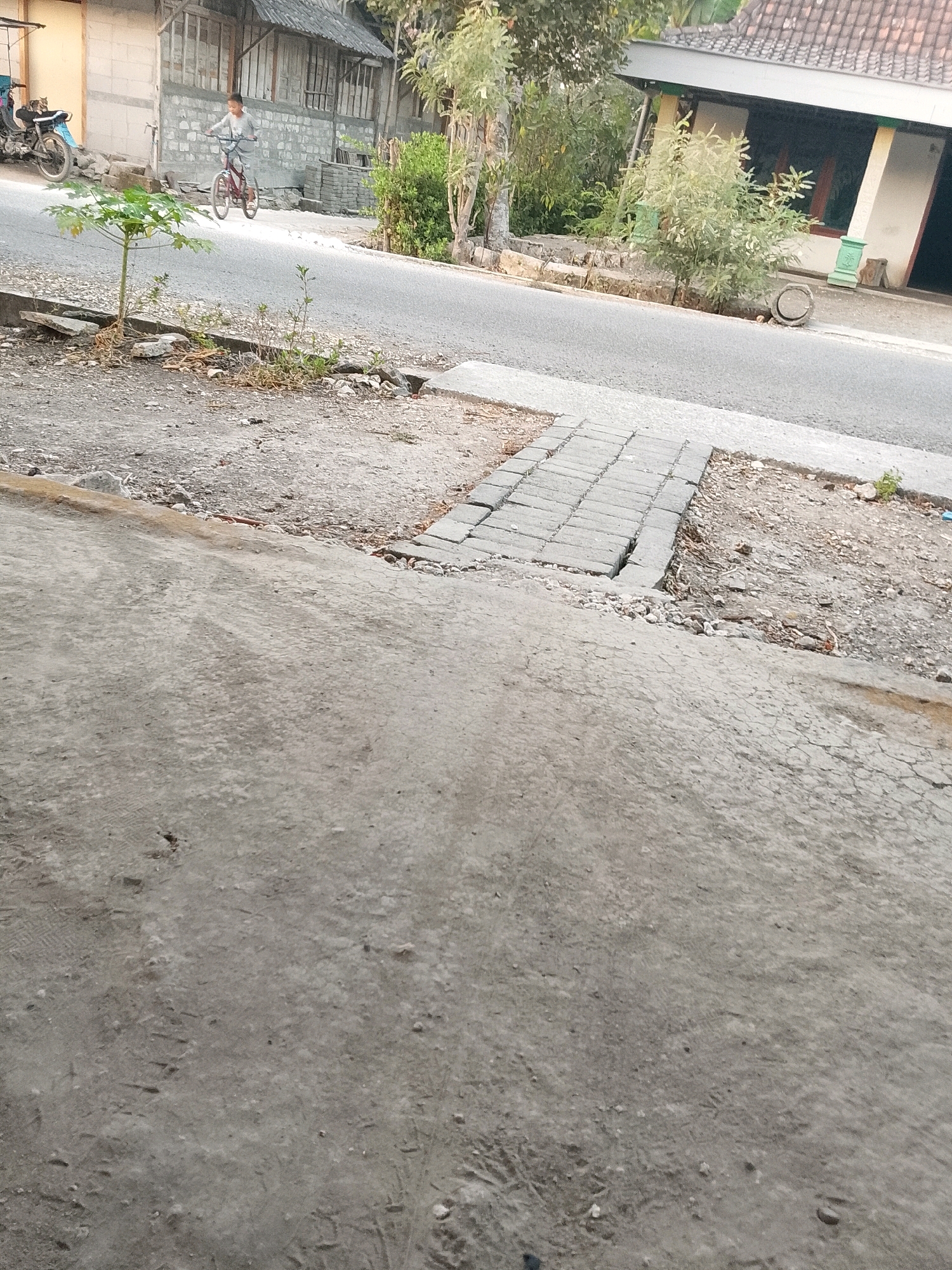 In Wadang, Indonesia, a young person rides a red bicycle on a paved road. The person is wearing a light-colored shirt and shorts. The road is lined with trees and houses. To the left of the road, a motorcycle is parked in front of a building. A small tree grows on the side of the road. The road surface appears to be asphalt, with a section of brick pavers forming a small walkway. The surrounding area is rural, with visible vegetation and some debris on the ground. The lighting suggests it is daytime, possibly late afternoon due to the shadows.
