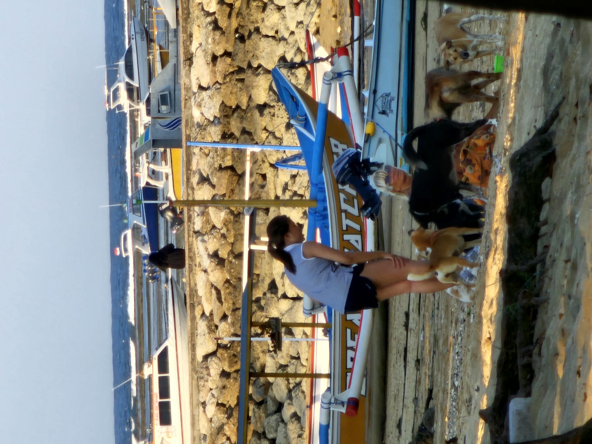 This media file captures a coastal scene, likely a harbor or beach area, in Denpasar, Indonesia, bathed in the warm light of either sunrise or sunset. The image is oriented vertically (rotated 90 degrees clockwise) and depicts a mix of traditional and modern boats alongside a rocky shoreline.
In the foreground, a woman with dark hair tied back, wearing a light-colored sleeveless top and dark shorts, stands near a traditional boat with blue, yellow, and white colors. She is looking towards the right, seemingly interacting with a light brown dog that stands on its hind legs near her. Further to the right, another person, with light hair and wearing dark clothing, is partially visible, obscured by a boat. Several other dogs, mostly light brown, are present on the sandy/wooden ground in this area, some walking, others in the background.
The setting includes a prominent rocky wall or embankment on the right side, and what appears to be a sandy path or wooden dock leading into the water on the left. The water stretches into the background under a light, clear sky.
Several boats are featured:
- Traditional outrigger boats, often called Jukung in Indonesia, are docked or pulled ashore. One in the mid-ground displays "CATCH" and possibly "ER" (likely "CATCHER") on its blue and yellow hull, equipped with an outboard motor.
- In the background, larger, more modern speedboats or passenger ferries are visible in the water. One of these boats clearly displays the name "VENUS" on its side.
The scene portrays a typical coastal day, with people and animals coexisting among fishing or transport boats. The soft, golden lighting on the rocks and ground adds a serene atmosphere to this everyday harbor activity.