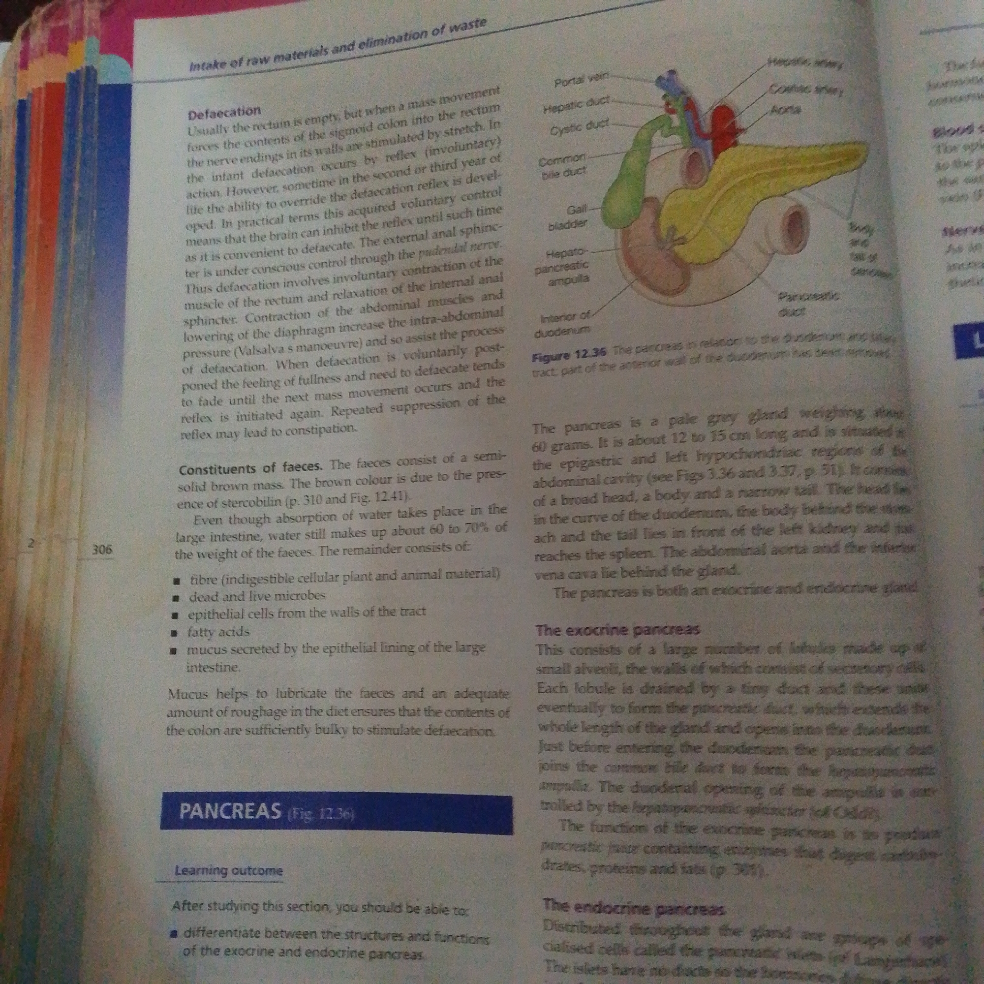 This media file is a close-up, overhead shot of an open textbook. The text discusses the biological processes of defecation and the anatomy and function of the pancreas. The page is primarily text-based, with a detailed anatomical illustration of the pancreas and surrounding organs on the right side. The illustration includes labels for various parts like the portal vein, hepatic duct, cystic duct, common bile duct, gall bladder, pancreatic duct, and duodenum. The text is divided into sections titled "Defaecation," "Constituents of faeces," "PANCREAS," and subsections within the pancreas section discussing its exocrine and endocrine functions. Page numbers and figure references are visible. The overall setting is an educational context, likely a student's study material. There are no people or specific environmental details like time of day or weather visible.
