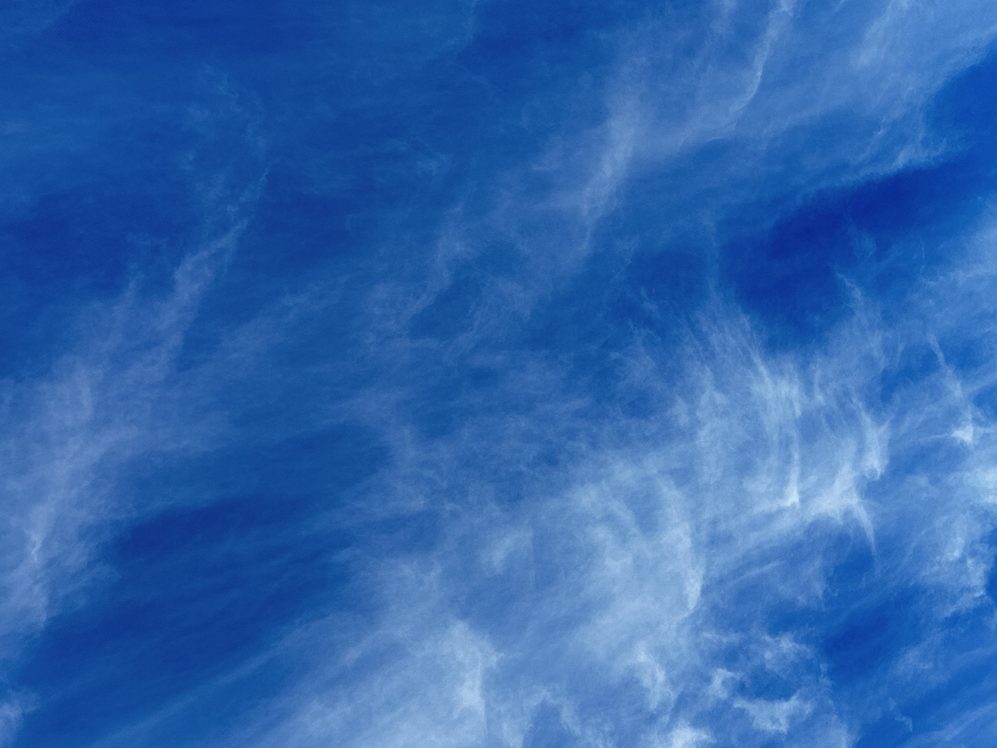 This media file is a close-up, full-frame photograph of a bright blue sky with wispy white clouds. The clouds are scattered and appear to be moving, creating a sense of depth and texture. They are thin and feathery, characteristic of cirrus or cirrostratus clouds. The blue of the sky is a deep, vibrant shade, suggesting it is daytime, likely mid-morning or afternoon, with clear atmospheric conditions. There are no discernible objects or people in the image, making it a purely atmospheric landscape. The composition is abstract, focusing solely on the interplay of light and color between the sky and the clouds. The overall impression is one of openness, vastness, and natural beauty. There is no visible text in the image.