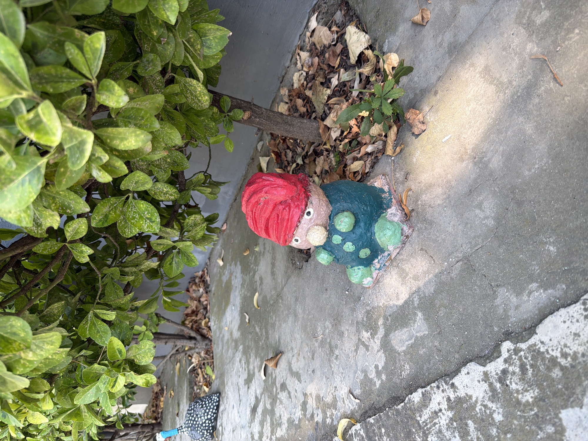 A gnome statue with a red hat and teal body sits on a concrete walkway next to a bush in Balakənd, Azerbaijan. A guinea fowl statue is visible to the left of the gnome. The ground is covered in fallen leaves.