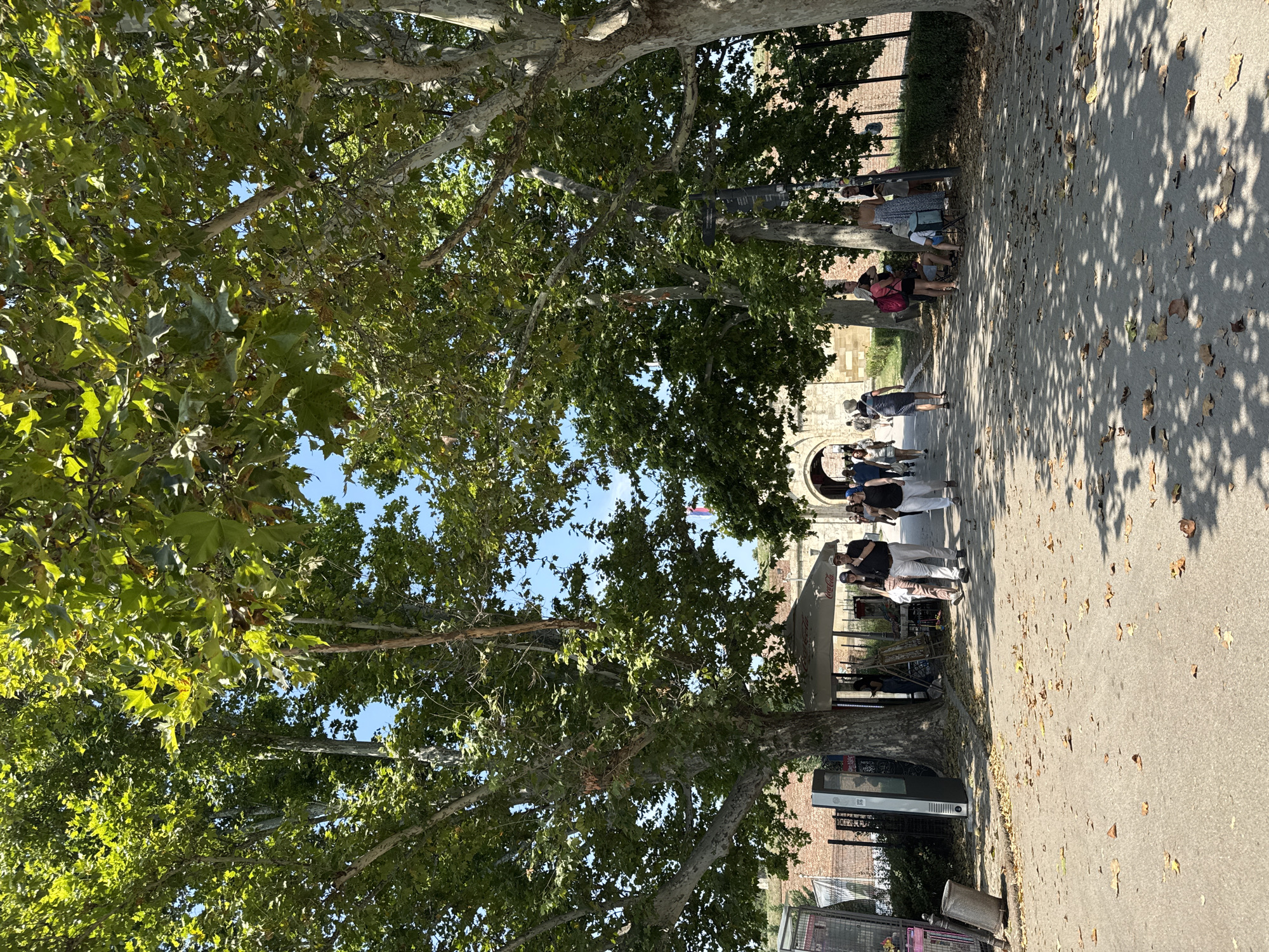 This is a photograph taken in the city of Belgrade, Serbia, specifically at the Belgrade Fortress, also known as Kalemegdan. The image captures a sunlit pathway lined with large, mature trees, their branches laden with green leaves, casting dappled shadows on the ground. Fallen leaves are scattered across the paved path.
Several people are visible walking along the path, some individually and others in small groups. On the left side of the path, there are kiosks or stalls under umbrellas, and a tall, modern display screen. Further down the path, an arched gateway is visible in the distance, suggesting an entrance to another section of the fortress. A flag can be seen flying above the gateway. The architecture of the fortress walls, made of stone, is partially visible on the right side of the image. The overall scene suggests a pleasant, leisurely day in a historical outdoor location.