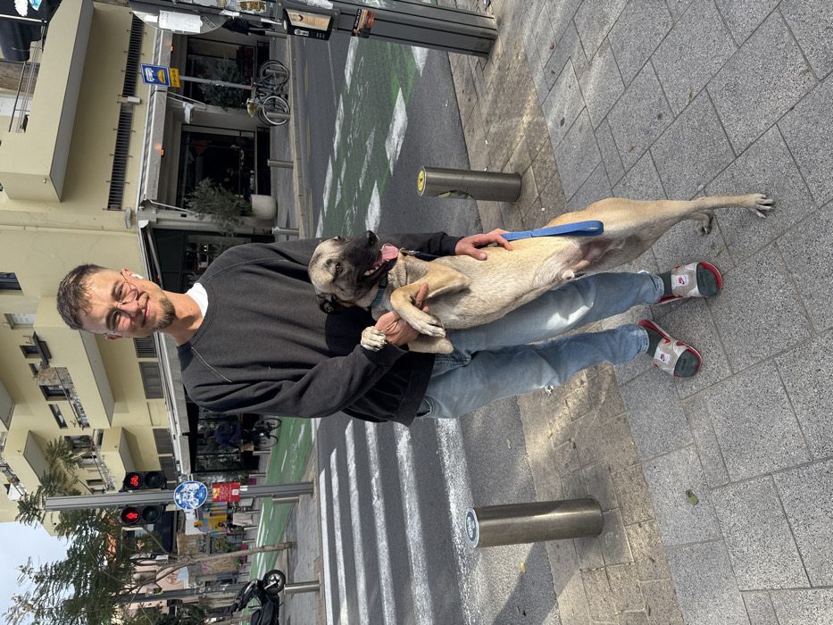 The image presents a man holding a dog on a paved sidewalk in Tel-Aviv, Israel, under bright daytime lighting.
The primary subject is a young adult male with short brown hair, spectacles, a white earbud in his left ear, and a smiling expression. He wears a dark grey long-sleeved sweatshirt over a white t-shirt, light blue jeans, and red-soled white slides with grey socks. He is positioned centrally, holding a medium-sized, short-haired dog with a tan coat and a darker muzzle/ears. The dog, wearing a blue collar, stands upright on its hind legs, with its front paws resting on the man's right arm. A blue leash extends from the dog's collar, held by the man's left hand. The dog's mouth is open, with its tongue slightly extended.
The immediate foreground consists of grey square paving stones. Two silver cylindrical bollards are embedded in the sidewalk. Beyond the subjects, a street features a pedestrian crosswalk marked with white stripes and a distinct green-painted bicycle lane. To the left, a parked scooter, lush green trees, and a traffic light displaying a red signal for both vehicles and bicycles are visible, alongside a circular blue sign depicting a white bicycle. The background reveals a light-colored, multi-story building with multiple balconies and large windows, suggesting commercial or mixed-use. A ground-floor establishment, likely a restaurant or cafe, is discernible with dark-framed windows. A yellow bus stop sign with black text is mounted on a pole near the building, and two bicycles are parked against the building's wall. A dark utility pole adorned with various attached papers stands on the far right of the frame.