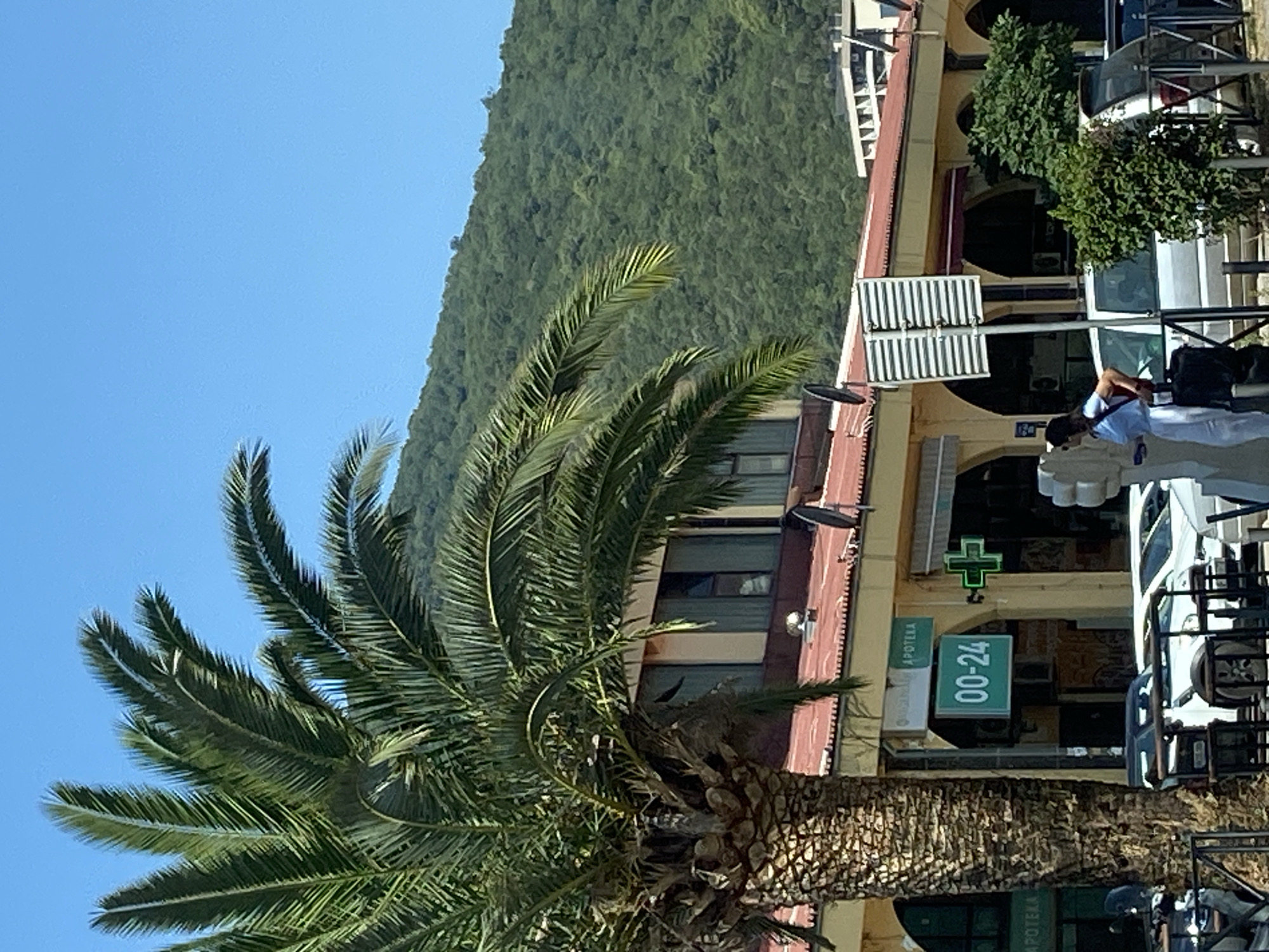 In Budva, Montenegro, a street scene unfolds under a clear blue sky. A large palm tree with rough, textured bark dominates the left foreground, its fronds reaching towards the sky. Behind the palm tree, a yellow building with a red-tiled roof has multiple arched entrances. A prominent sign identifies one establishment as "APOTEKA" (pharmacy), with a green cross symbol and "00-24" indicating 24-hour service. Several cars, including a white sedan and a silver van, are parked in front of the building. A woman dressed in white pants and a blue shirt stands near a white traffic bollard, holding a dark bag, looking towards the right. In the background, a densely vegetated, green hillside rises, its slopes covered in trees. Additional buildings, some with balconies and windows, are visible further in the distance.