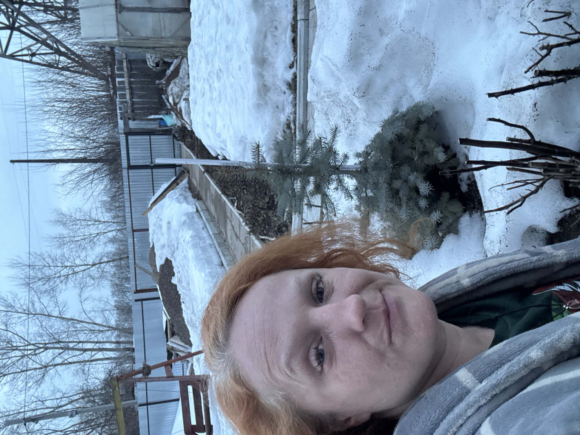 The image depicts a close-up selfie of an individual in what appears to be a residential backyard or garden area within the city of Chaikovsky, Russia. The person, a fair-skinned individual with light eyes and reddish-orange hair showing grey roots, occupies the left foreground, looking directly at the camera with a neutral expression. They are wearing a dark green top underneath a grey and white plaid blanket or robe draped over the shoulders.
The background reveals a winter or early spring scene with substantial snow cover across the ground. A small, blue-green conifer (likely a spruce) is centrally located in the mid-ground, surrounded by snow. To its right, pruned, bare shrub stems emerge from the snow. A narrow, uncovered dirt path runs along the left side, bordered by snow.
Further back, a corrugated metal fence spans the width of the scene, serving as a boundary. Behind this fence, piles of earth or gravel are partially visible beneath snow. Various bare deciduous trees are visible in the distant background, along with utility poles and part of a metal lattice structure, possibly an electrical tower, on the far right. A red-painted wooden structure, resembling a swing set or bench frame, is visible behind the fence on the left. The sky is overcast and light grey.