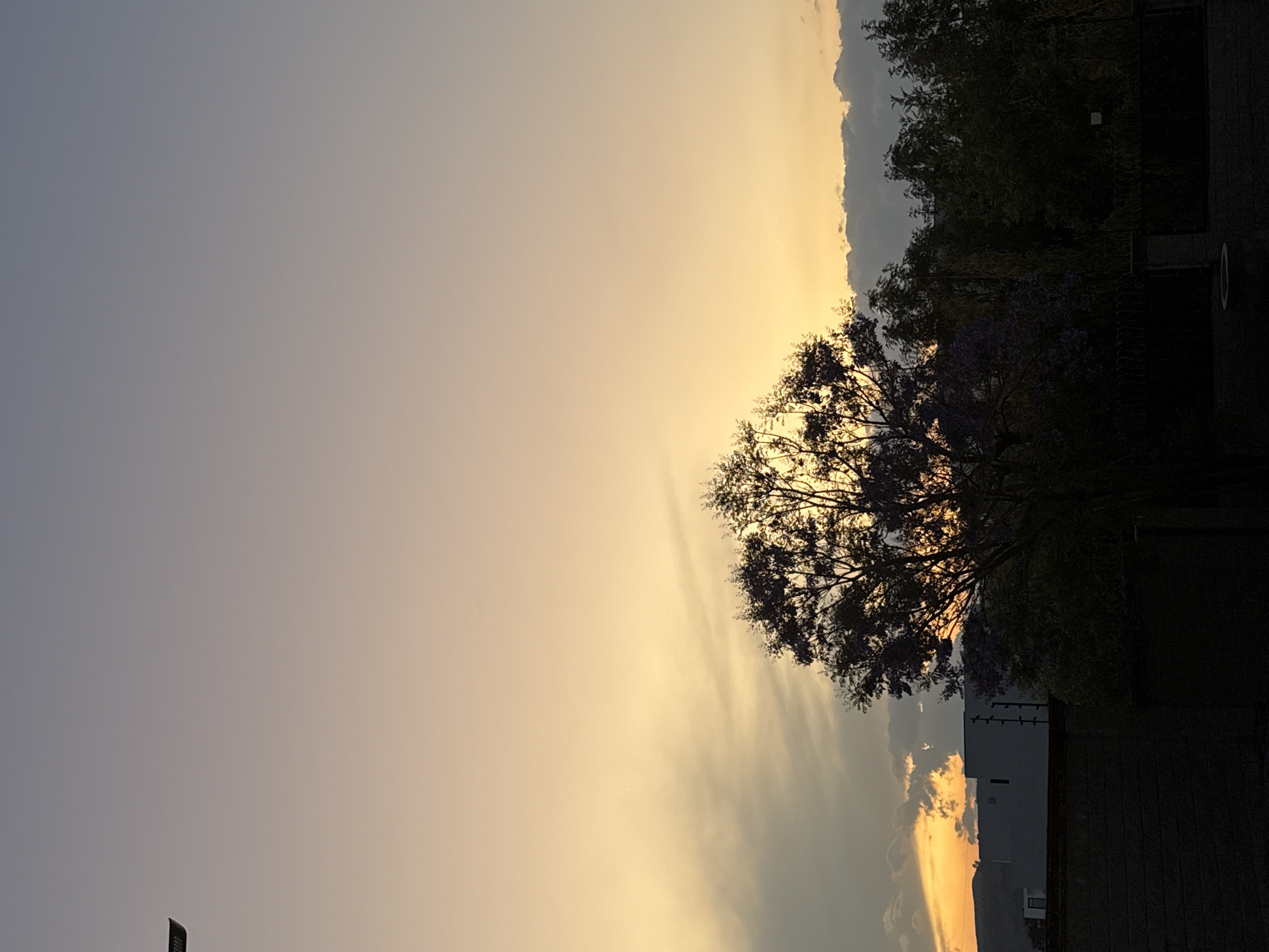 Captured in Santa Clara Ocoyucan, Mexico, the image presents a twilight scene. The sky transitions from pale blue-gray on the left to a warm, muted yellow towards the center. This golden hue suggests the sun is setting or rising. Wisps of clouds are thinly dispersed throughout the central sky.
To the right of the frame, a dark silhouette of trees and foliage dominates the scene. Amidst the dark foliage, there's a hint of purple blossoms. Adjacent to the vegetation are artificial structures, including what appears to be a building. The composition also includes a section of paving.