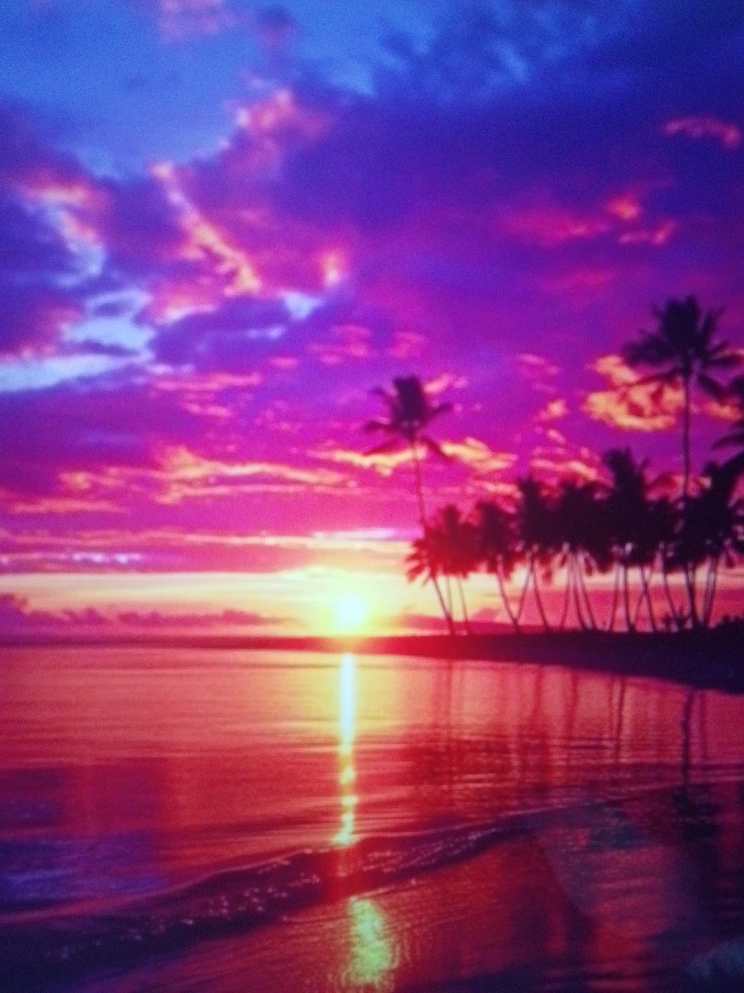 The image depicts a vibrant sunset over a tropical beach. The sky is filled with shades of purple, pink, and blue, with clouds scattered throughout. The sun is setting on the horizon, casting a golden light on the water. Palm trees are silhouetted against the colorful sky along the shoreline. The water reflects the colors of the sky, creating a mirror-like effect. Small waves are visible near the shore. The location is not specified.