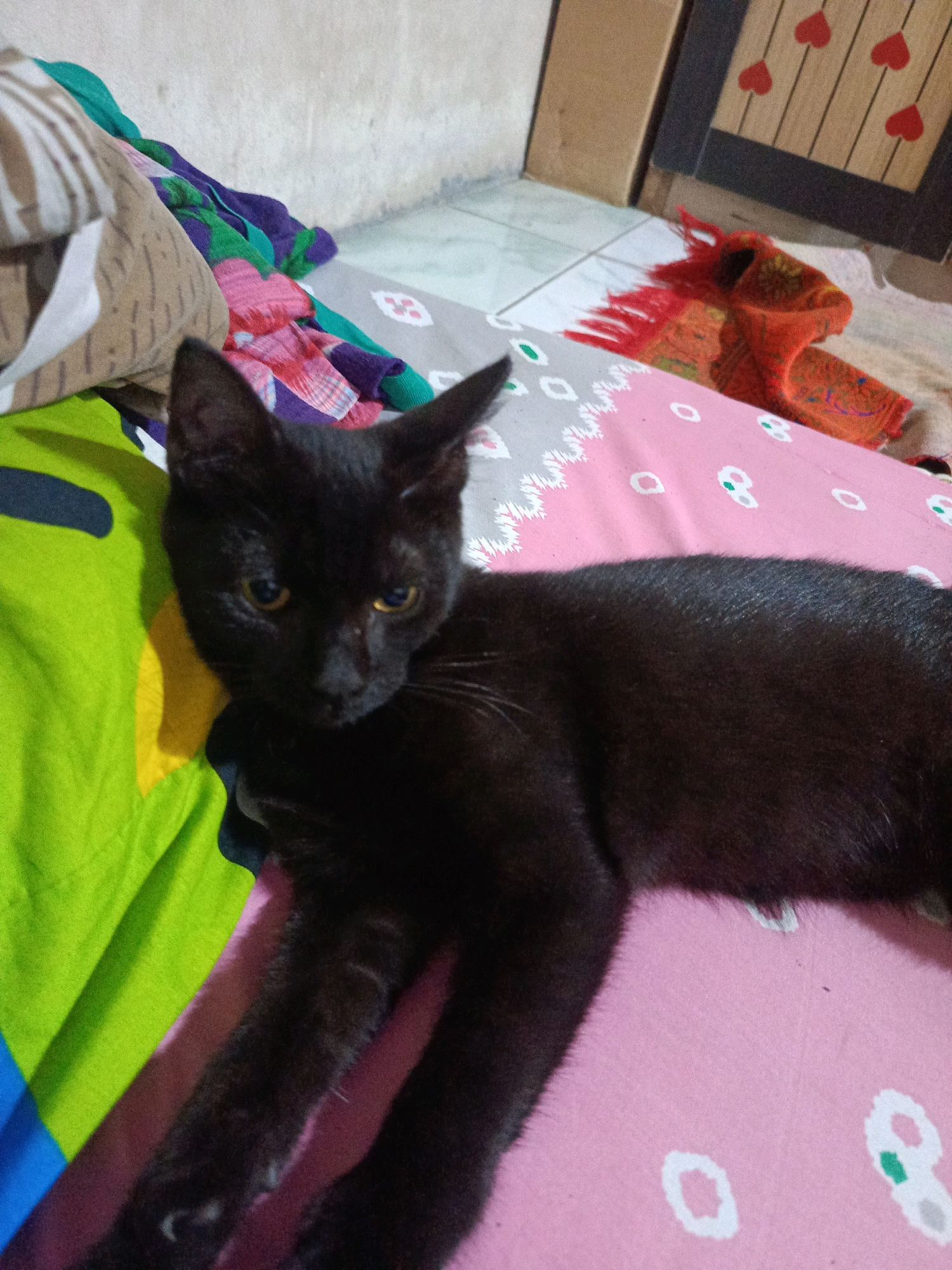 A black cat is lying on a bed. The bedspread is pink with white and green floral patterns. To the left of the cat, a green and yellow patterned blanket is visible. In the background, a wall is visible, and to the right, a wooden cabinet with heart-shaped decorations can be seen. The scene appears to be indoors, possibly in a bedroom.