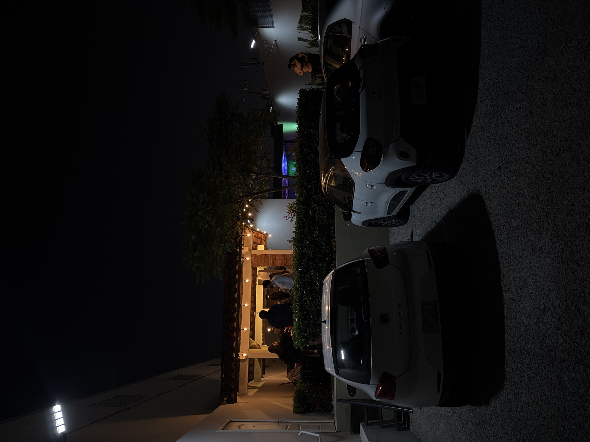 A nighttime scene in San Bernardino Tlaxcalancingo, Mexico, depicts a gathering of people outside a building illuminated by string lights. Several individuals are standing under the covered area of the building, while two white cars are parked nearby on a paved surface. One car is a hatchback, the other is a smaller car. The sky is dark. The buildings appear to be residential. A couple is embracing each other near the two cars.