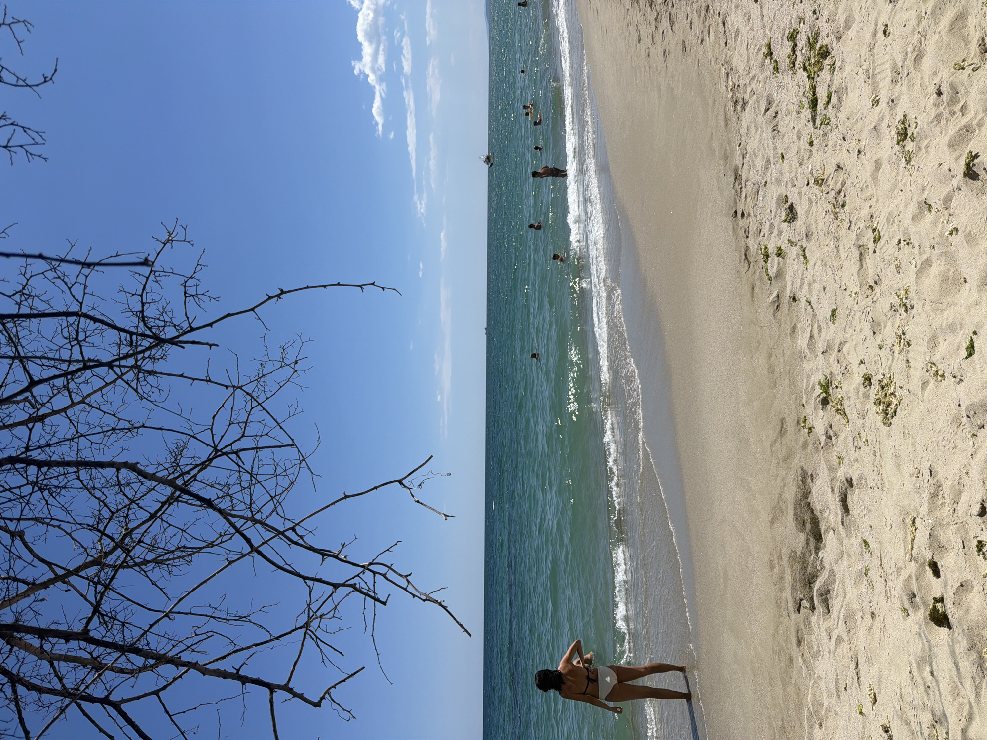 The image captures a sunny day at a beach, likely in Varna, Bulgaria, given the typical scenery. In the foreground, sand is scattered with small clumps of dried seaweed. A woman, seen from behind, stands at the water's edge, wearing a white bikini. Her left hand is on her hip. The sea is a vibrant turquoise, with gentle waves lapping the shore. In the middle ground, several people are swimming and enjoying the water. A small boat is visible in the distance on the horizon, with ships further out at sea. The sky is a clear, bright blue, with a few wispy clouds. Silhouetted against the sky and framing the top of the image are the bare branches of a tree, suggesting a time of year where the tree is deciduous, possibly early spring or late autumn, though the presence of people swimming in the sea indicates a warmer season.