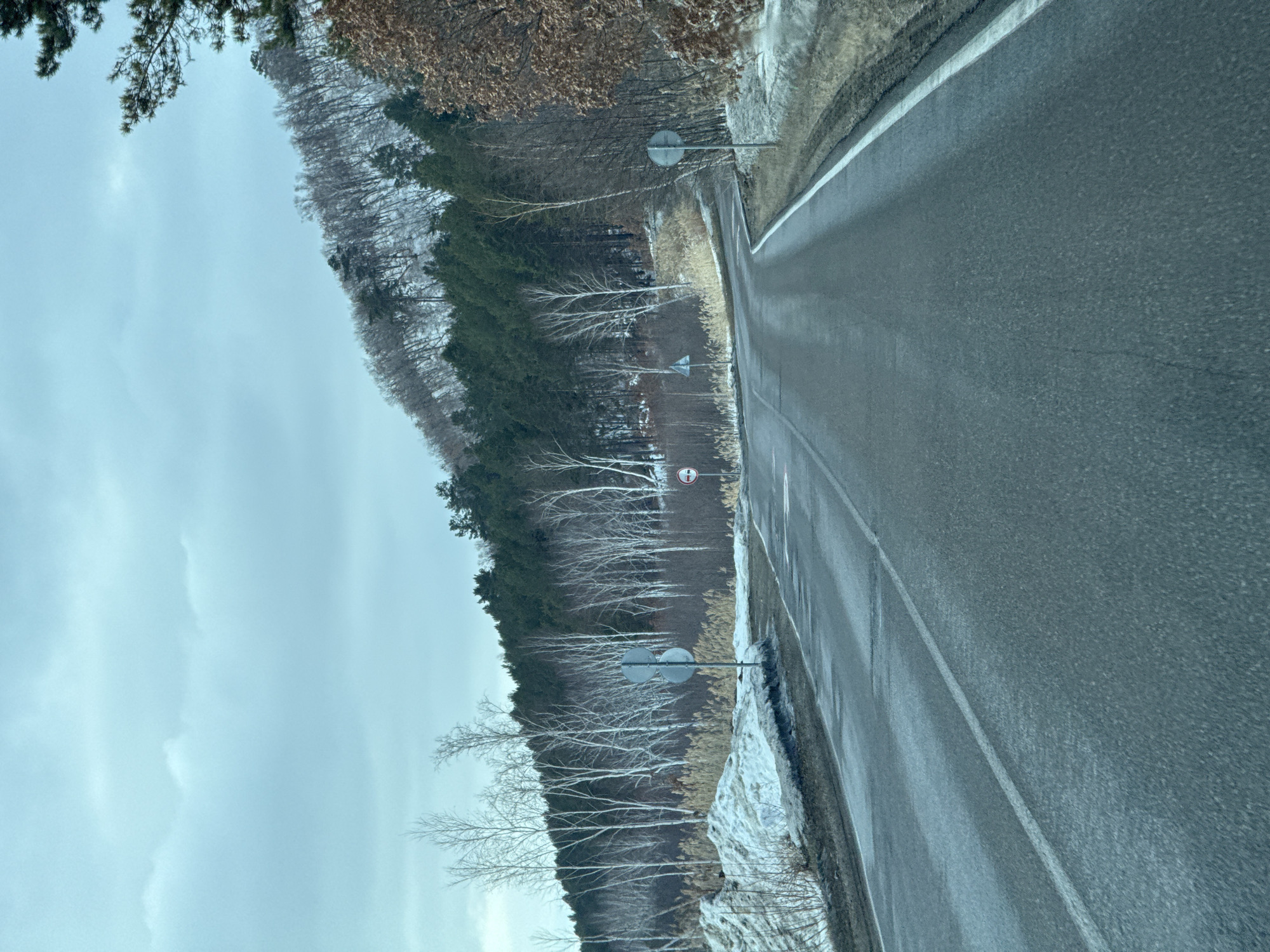 The scene is located on a two-lane asphalt road in a forested, hilly area, within the city of Unknown, Unknown. The sky is overcast with a light blue-grey hue. Patches of melting snow are visible on the ground, particularly on the left embankment and along the shoulders of the road. The environment features a mix of bare deciduous trees with prominent white trunks and dark green evergreen trees covering the rising hillsides, which are also lightly dusted with snow in parts. Dried, light brown reeds or tall grasses grow along the roadside and at the base of the trees. The asphalt road appears damp and curves sharply to the right in the mid-ground, with a continuous white line marking its right edge. A smaller, unpaved road or track branches off to the left. Visible objects include a metal pole on the left side of the main road with two stacked, indistinct grey circular signs. Further ahead on the right, near the start of the curve, stands another metal pole with a red circular sign featuring a horizontal white bar, indicating a restriction. No people, animals, or vehicles are present in the depicted scene.