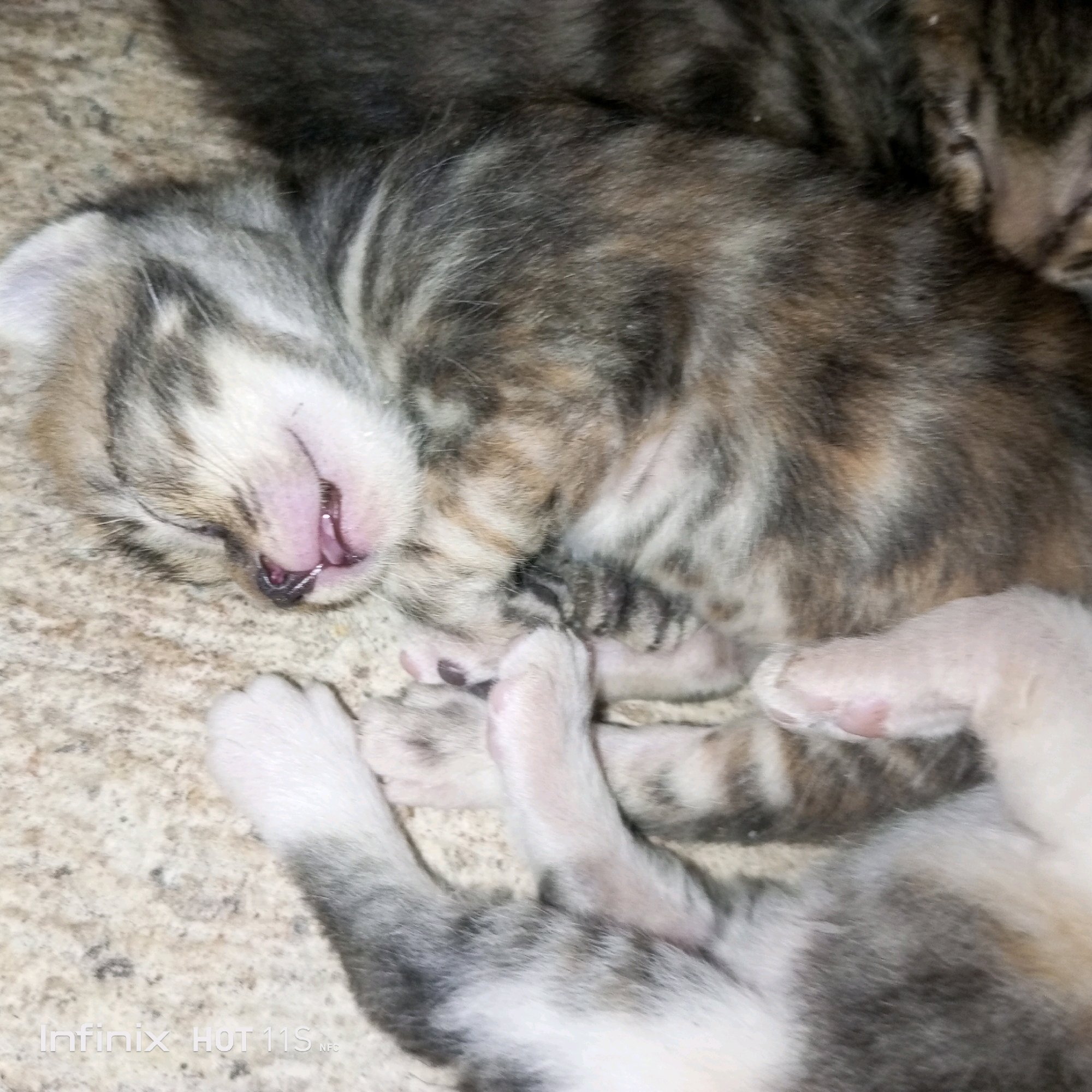 This is a close-up, high-angle, slightly blurred photograph of two tabby kittens sleeping on a beige, speckled surface. The kitten in the foreground is on its back, with its mouth slightly open, revealing pink gums and small teeth. Its paws are visible, with one paw resting near its face. The kitten has light gray, white, and black tabby markings. The second kitten, partially visible behind the first, is also a tabby and appears to be sleeping on its side. The surface they are lying on resembles carpet or a textured mat. The lighting is dim and appears to be from an artificial source. There is a watermark at the bottom left corner that reads "Infinix HOT 11S NFC".
There is no information in the image that allows for the determination of its location in the city of Sukaslamet, Indonesia.