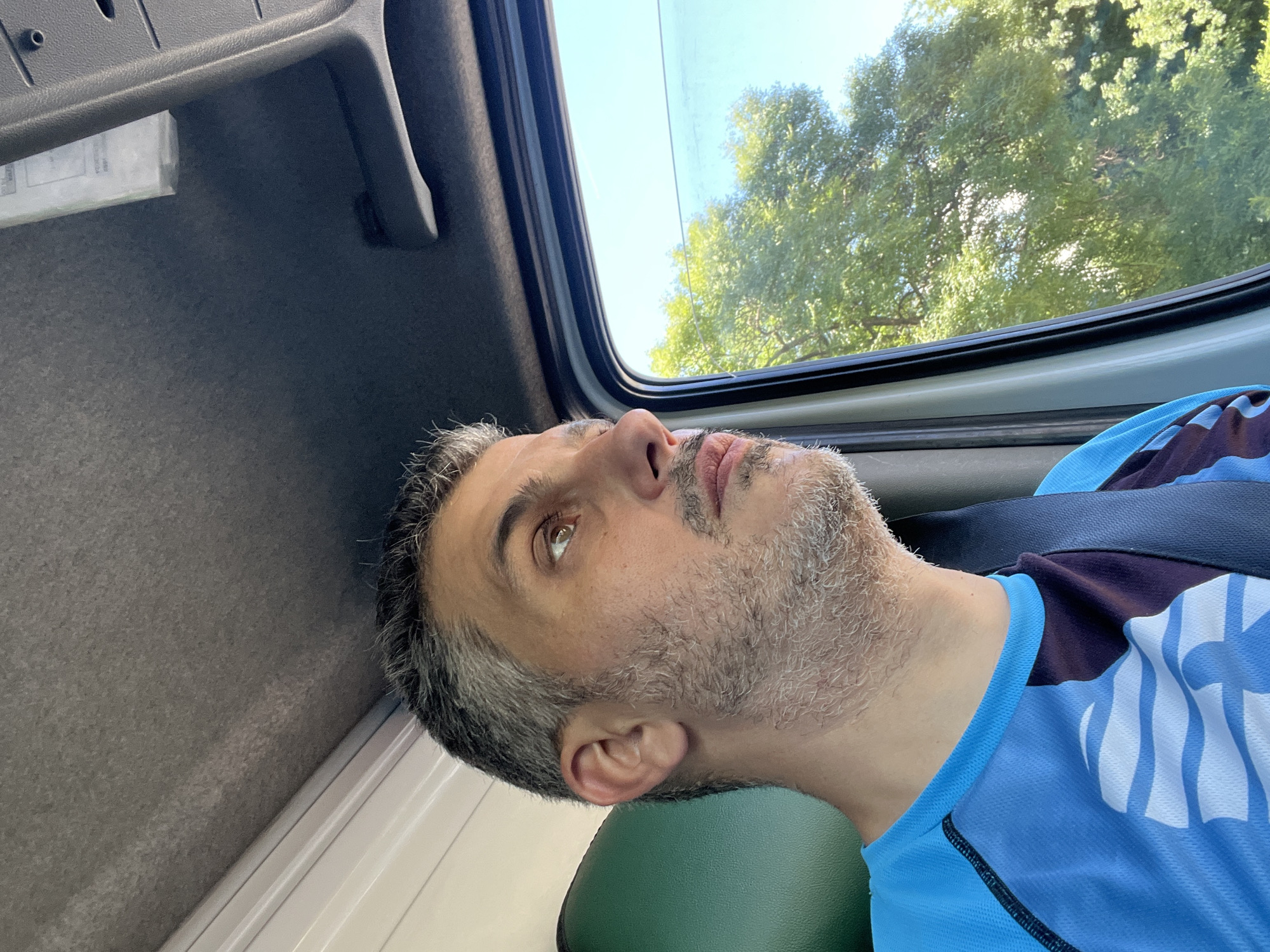 A medium shot, low-angle, indoor, portrait of a Caucasian man with short, graying dark hair, a mustache, and stubble is captured inside a vehicle. He is wearing a blue t-shirt with a graphic design of white waves and a dark blue collar. He is looking out of the side window to his right, with his head turned. The man has a seatbelt across his chest. Outside the window, a large, green, leafy tree is visible against a bright blue sky. The interior of the vehicle shows a gray, textured ceiling, a green seat, and the edge of a dark gray dashboard. The man appears to be in his 40s or 50s.