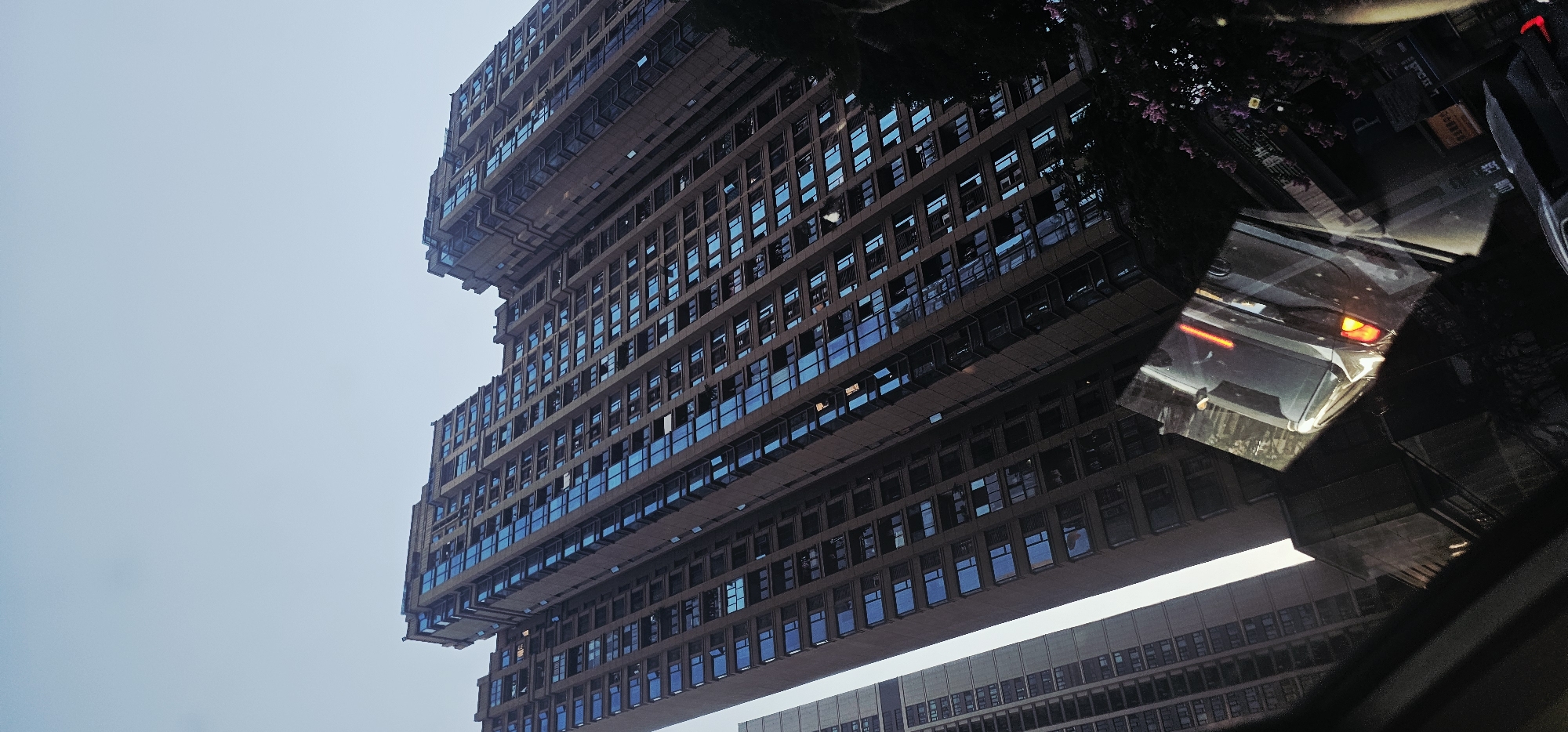 In Jiulongpo District, China, this low-angle shot captures two towering residential skyscrapers against a muted, overcast sky. The buildings, constructed of dark brown material, are adorned with numerous rectangular windows, many reflecting a vibrant blue hue. One skyscraper, the larger of the two and dominating the frame, displays a slightly angled façade, while the second, to its left, appears straighter. In the foreground, a distorted reflection shows the rear of a dark-colored vehicle with illuminated brake lights, suggesting the photograph was taken from within a car or from a surface reflecting the scene. Some dark foliage and a cluster of small pink flowers are visible on the right side of the image, partially obscuring the lower portions of the buildings.