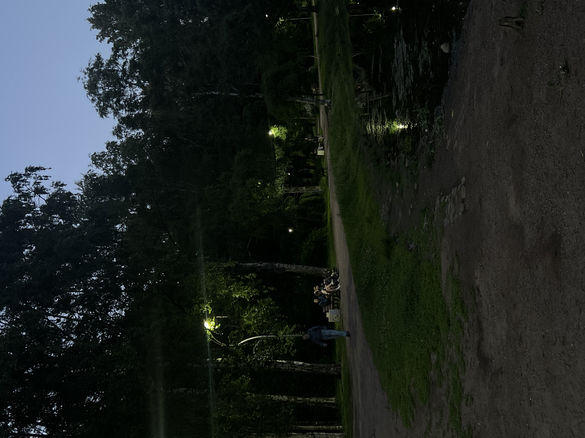 The image depicts a park at dusk or night in the city of Unknown, Russia. A dirt path, flanked by grassy areas and dense trees, including birches, extends through the scene. A lone individual, dressed in blue, walks away from the viewer on the path in the left-center. To their right, a group of at least three people are seated on a park bench illuminated by a streetlamp. Further down the path on the right, another person walks alongside a dark, small animal, likely a dog, near a second bench. The right side of the frame features a dark body of water with reflections of artificial lights and visible surface vegetation. The treeline forms a dark silhouette against a pale blue sky. Multiple streetlamps cast bright yellow-white light, illuminating sections of the path and tree foliage.