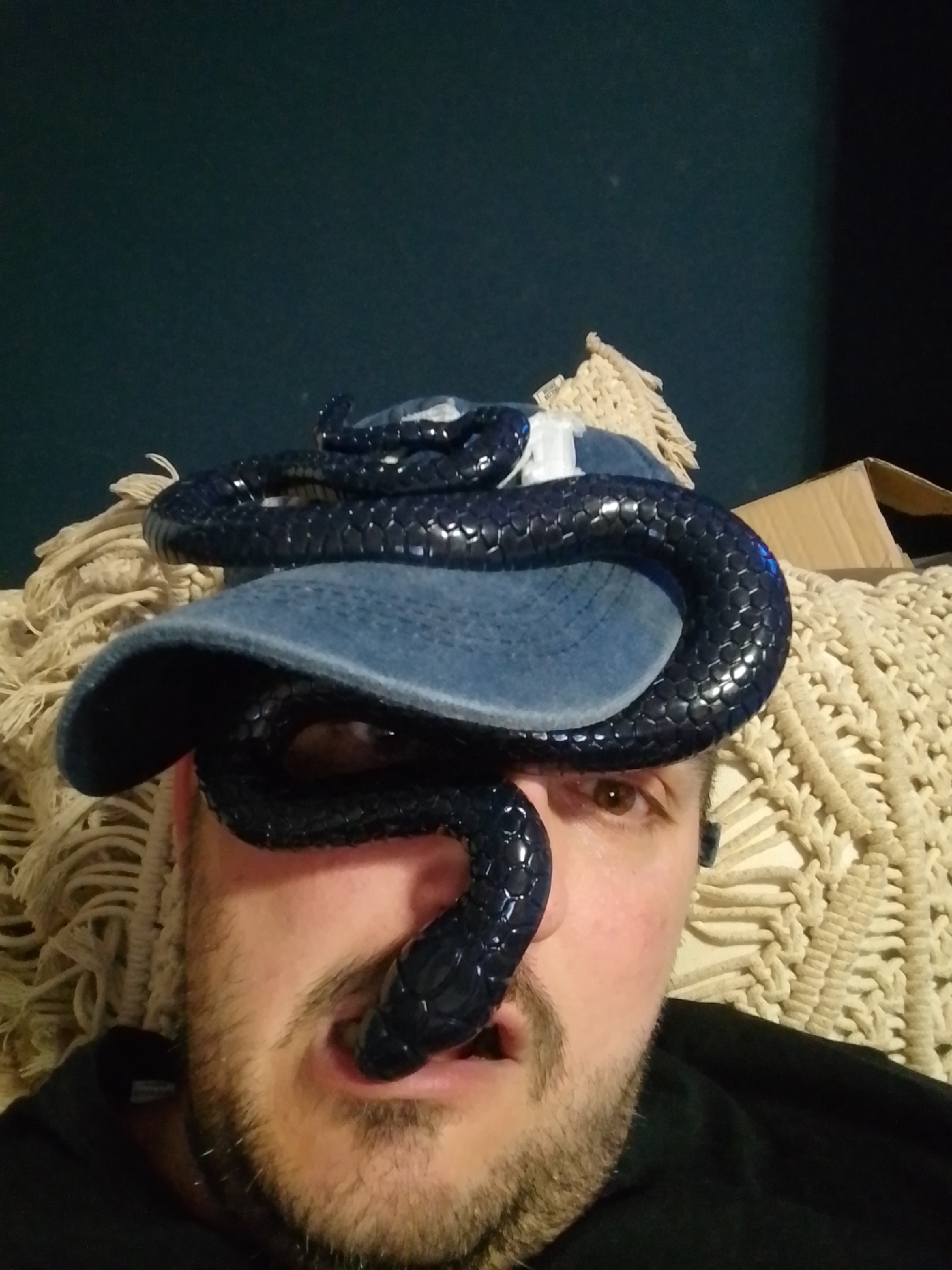 A close-up, over-the-shoulder shot shows a person wearing a blue baseball cap with a black, segmented toy snake wrapped around it and draped over their face, with the snake's head near their nose and mouth. The person's right eye is visible, with brown irises. They have a light brown beard and are wearing a black t-shirt. The background consists of a textured cream-colored surface and a dark green wall. There are no specific landmarks or details that would indicate a location in Wedel, Germany.