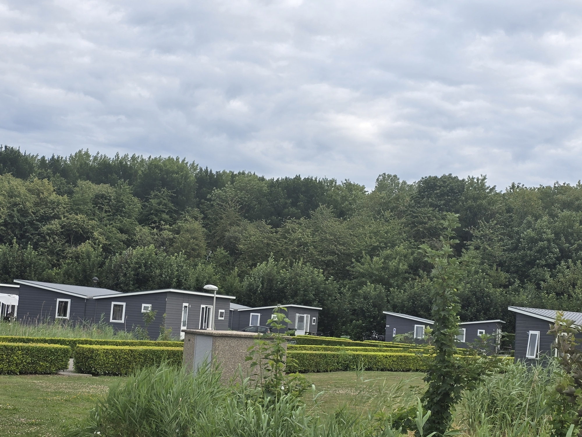 The image depicts a row of modern, dark gray cabins with white trim and angled roofs, set against a backdrop of lush green trees and a cloudy sky. The cabins are arranged in a line, with manicured green hedges separating them and a grassy area in the foreground with tall reeds. Several of the cabins have visible windows, and some have outdoor lights. In the distance, more trees form a dense forest. The scene appears to be a holiday park or residential area in Zeewolde, Netherlands, given the style of the cabins and the surrounding natural landscape. There are no people or animals visible in the image.