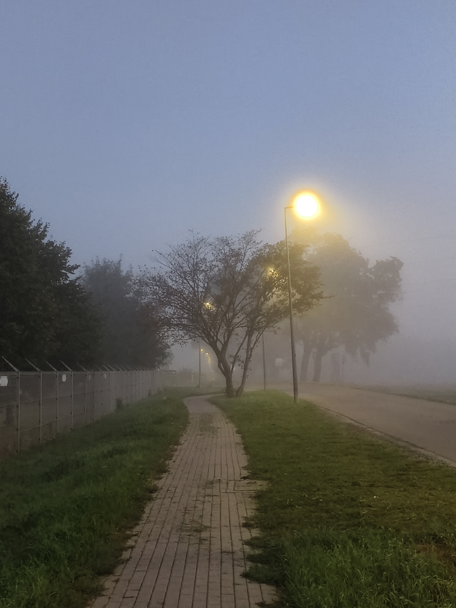 The image depicts a foggy morning scene on a paved sidewalk alongside a road in Tczewskie Łąki, Poland. A single lamppost illuminates the dense fog with its bright yellow light. Bare trees with intricate branches line the path, and a concrete fence runs along the left side of the sidewalk, separating it from a grassy area. The road is visible to the right, disappearing into the mist. No people or animals are present in the image. The overall atmosphere is one of quiet solitude and low visibility due to the fog.