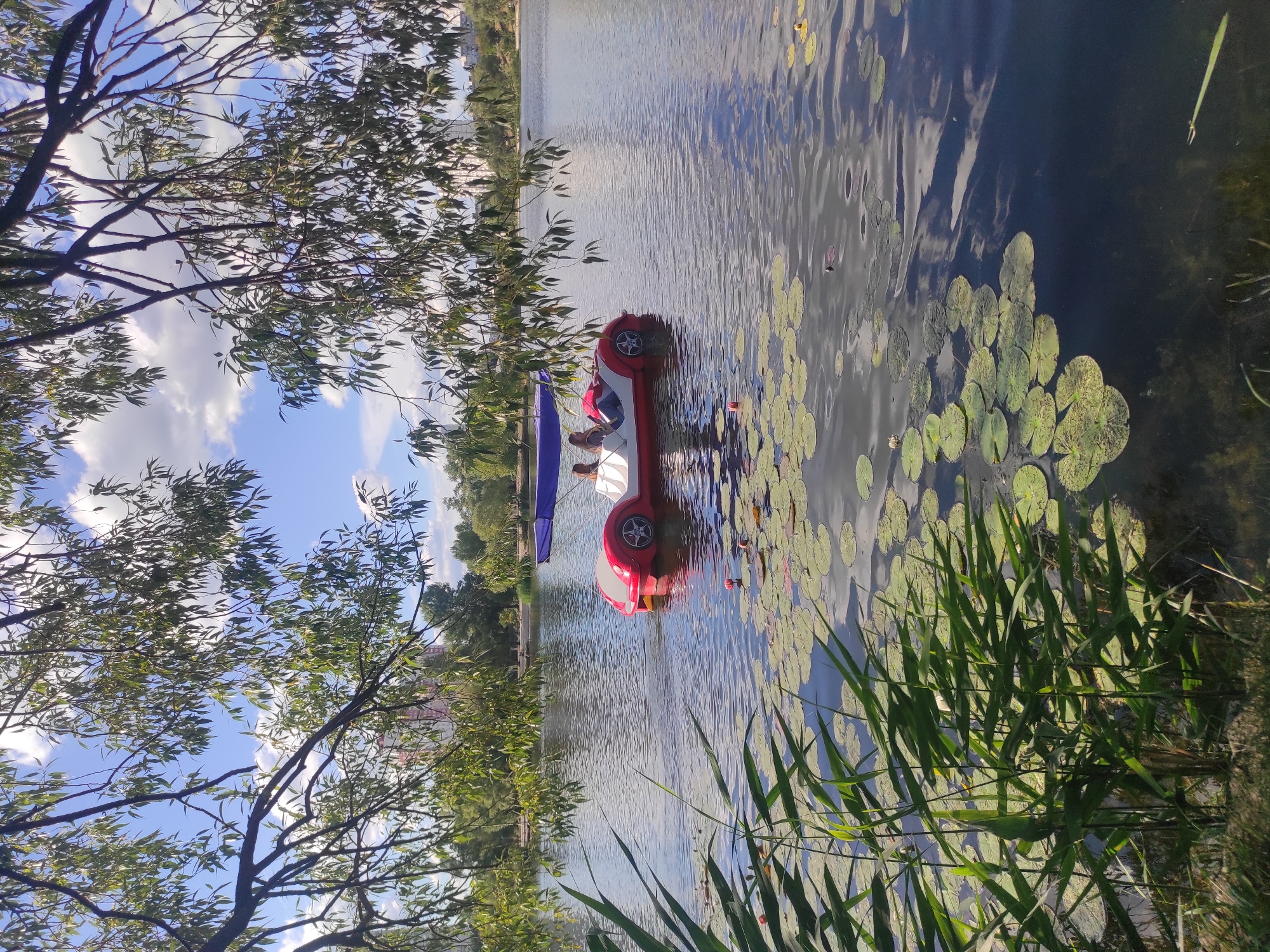 The image shows a pedal boat shaped like a red and white car on a lake. Two people, a woman and a girl, are seated in the boat, with the woman steering. The boat has a blue canopy for shade. The lake is dotted with lily pads and a few pink water lilies. In the foreground, tall green reeds grow along the shore. In the background, trees and buildings are visible, suggesting an urban park setting. The sky is blue with scattered white clouds. This scene is likely located in the Hydropark in Kyiv, Ukraine, a popular recreational area known for its lakes and outdoor activities.