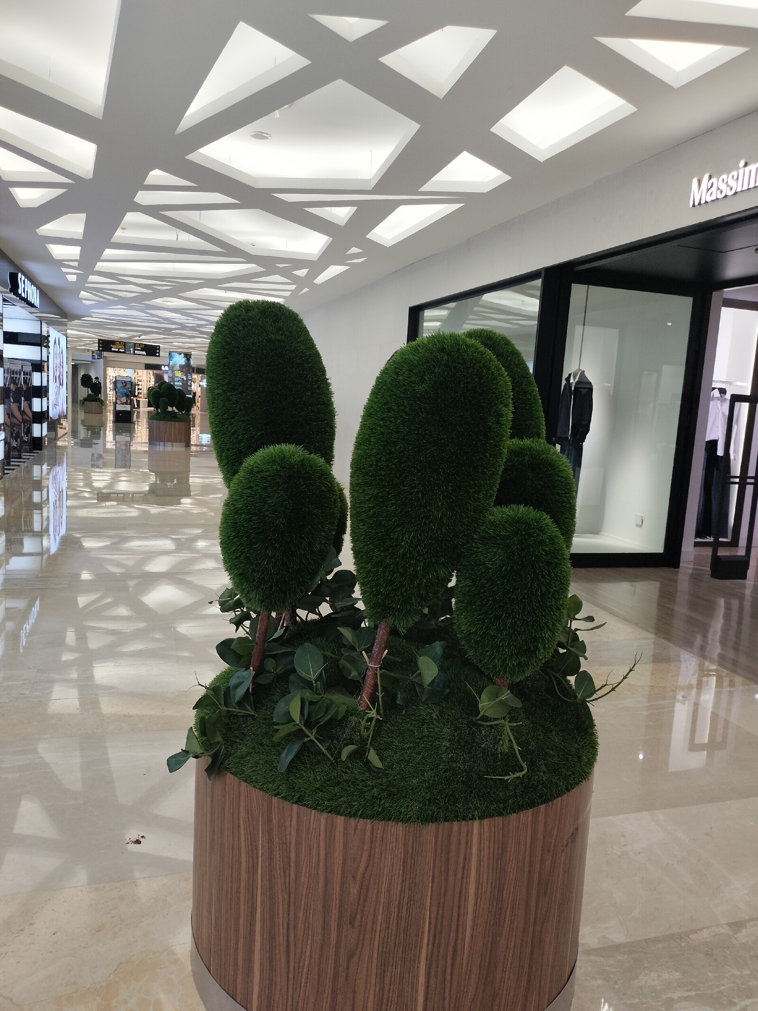 The image captures an indoor scene, likely a modern shopping mall or commercial area, with a distinctive ceiling design featuring interlocking white panels and illuminated recessed areas. In the foreground, a large, decorative artificial topiary stands in a cylindrical wooden planter. The topiary is comprised of several spherical and oval-shaped green masses, resembling trimmed bushes, with some faux greenery and twigs woven around the base.
The floor is highly polished, reflecting the light and the geometric patterns of the ceiling. In the background, the scene opens up to a wide corridor. To the left, signage for "SEPHORA" is visible, indicating a retail establishment. Further down the corridor, there are other shops with display windows. One shop has the name "Massimo Dutti" prominently displayed in illuminated lettering above its entrance. The interior of this store, and another visible adjacent to it, show mannequins dressed in clothing. The environment suggests a well-lit, clean, and upscale commercial space, consistent with a shopping mall. The specific location of Surabaya, Indonesia, is not visually discernible from the image itself but is provided as context.