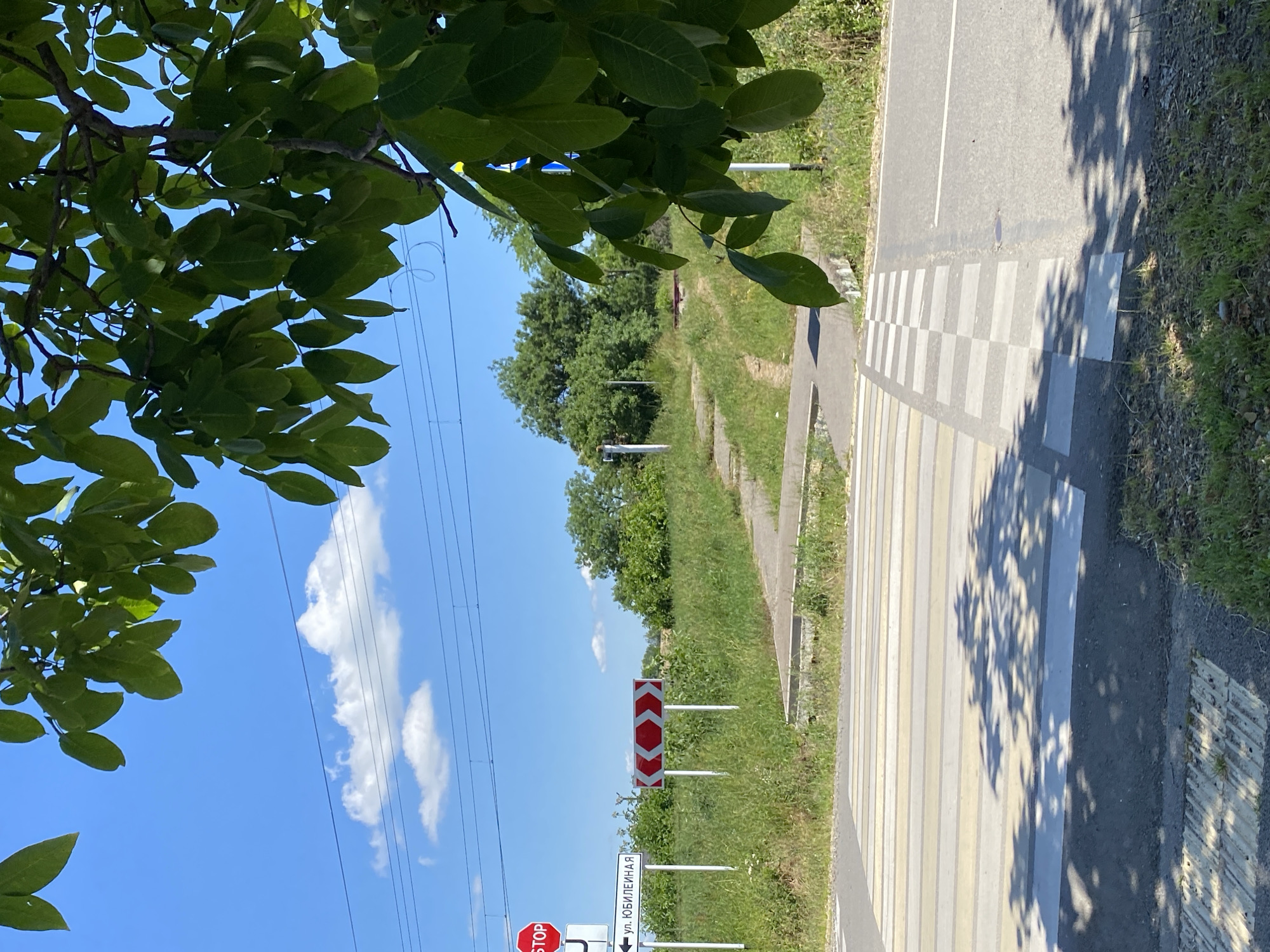 The image depicts a rural or suburban intersection with a pedestrian crossing in the foreground. A yellow and white striped crosswalk is visible on asphalt road. To the left, a red octagonal STOP sign is mounted on a white pole, accompanied by a white rectangular sign with Cyrillic text, likely indicating a street name. Further left, a smaller white sign with a black arrow pointing left also contains Cyrillic text. A red and white chevron warning sign indicating a curve or turn is present to the right of the street name sign.
In the background, a grassy embankment rises, with a pathway or stairs leading up to what appears to be a railway track or a road at a higher elevation, indicated by overhead wires and posts. Lush green trees and foliage form a backdrop against a bright blue sky with scattered white clouds. The branches of a large leafy tree partially obscure the upper portion of the image. The lighting suggests it is daytime, with shadows cast by the tree onto the crosswalk. The specific location is identified as Zapadny, Russia.