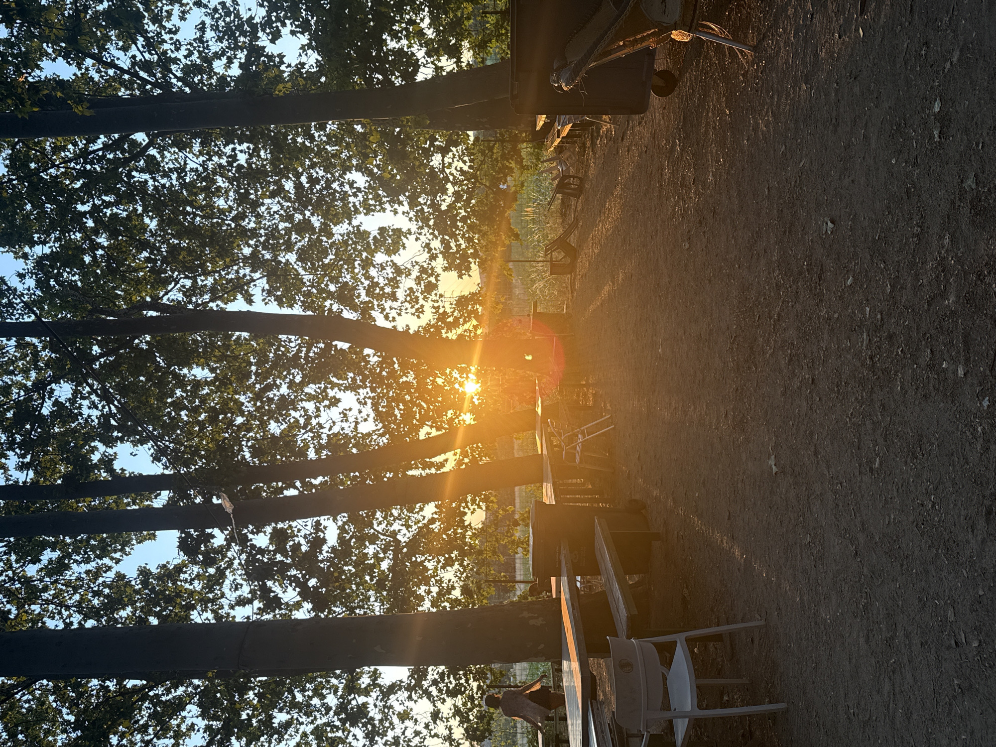The image depicts an outdoor seating area with picnic tables and chairs, bathed in the warm glow of a sunset. Tall trees with lush green foliage frame the scene, and the setting sun casts long shadows across the dirt ground. In the background, a person is walking away from the camera, heading towards the right side of the frame. The environment suggests a rural or park-like setting, possibly a picnic area or a beer garden. There are also grills or smokers visible on the right side of the image, hinting at a place where food might be prepared outdoors. The overall atmosphere is serene and tranquil, enhanced by the natural beauty of the sunset.